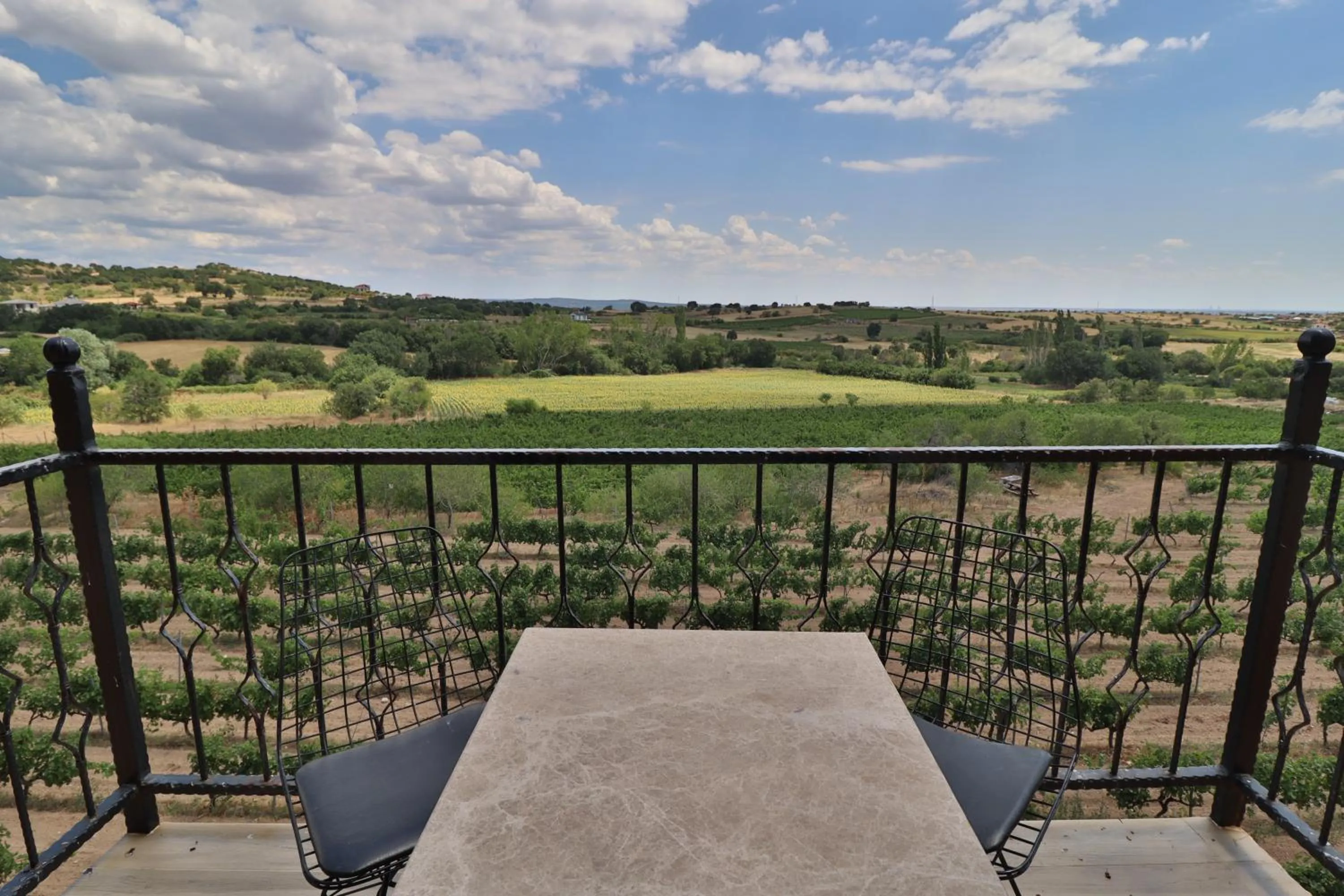 Balcony/Terrace in Dessera Vineyards Hotel