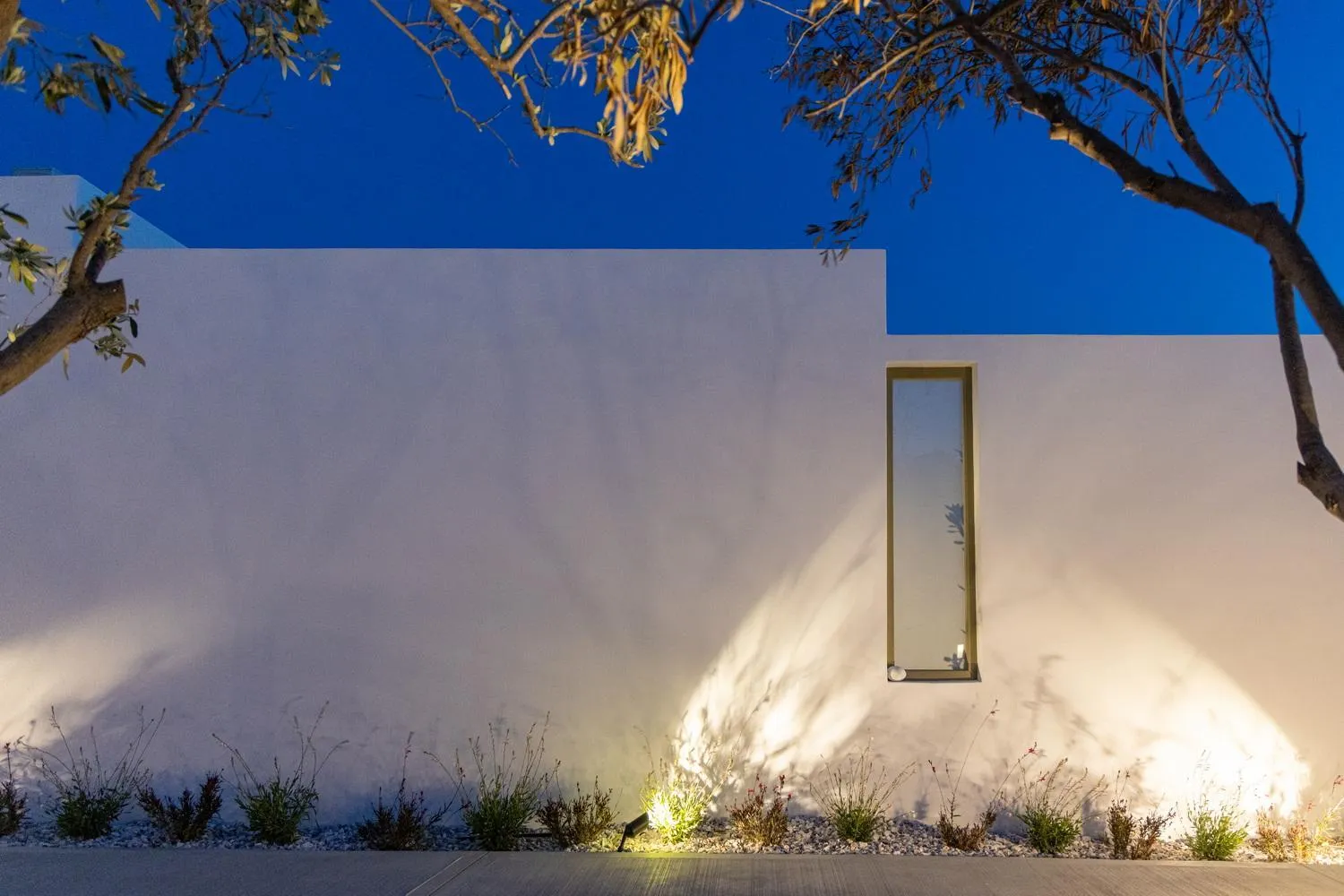 Garden in White Holidays Project