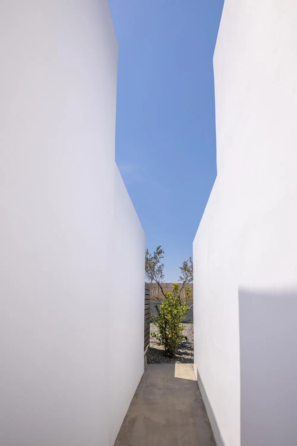 Day in White Holidays Project