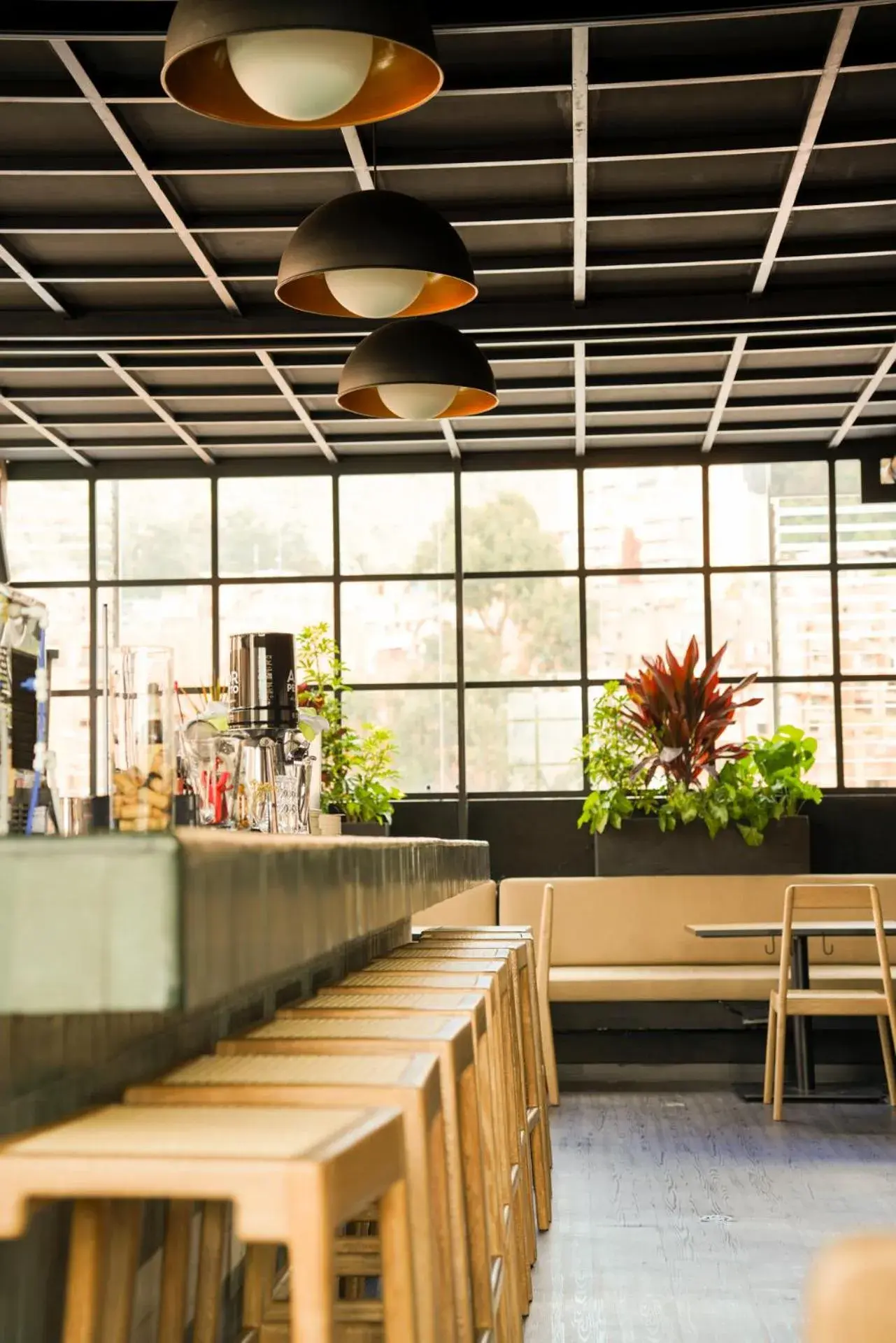 Lounge or bar in Hotel Coco Lounge or bar in Hotel Coco