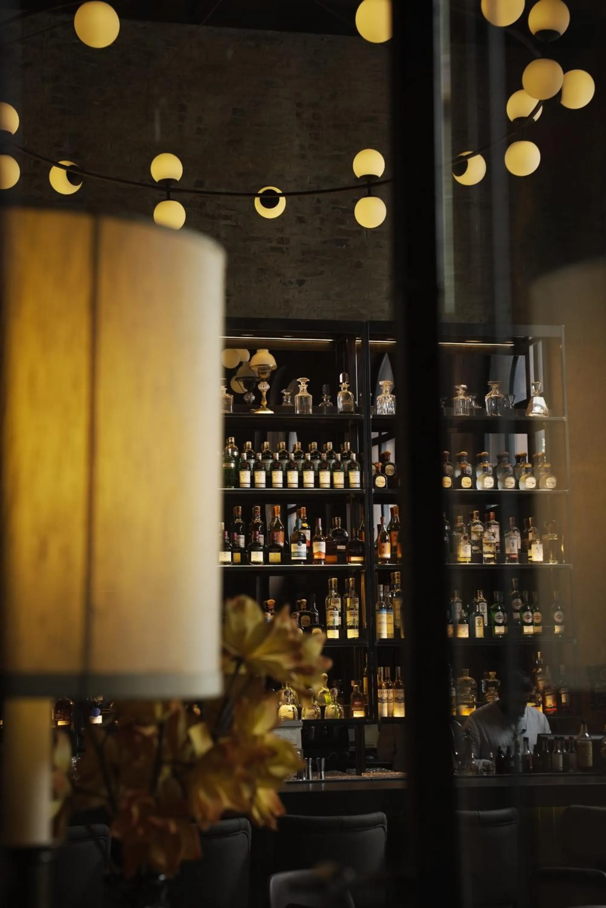 Lounge or bar in Hotel Coco