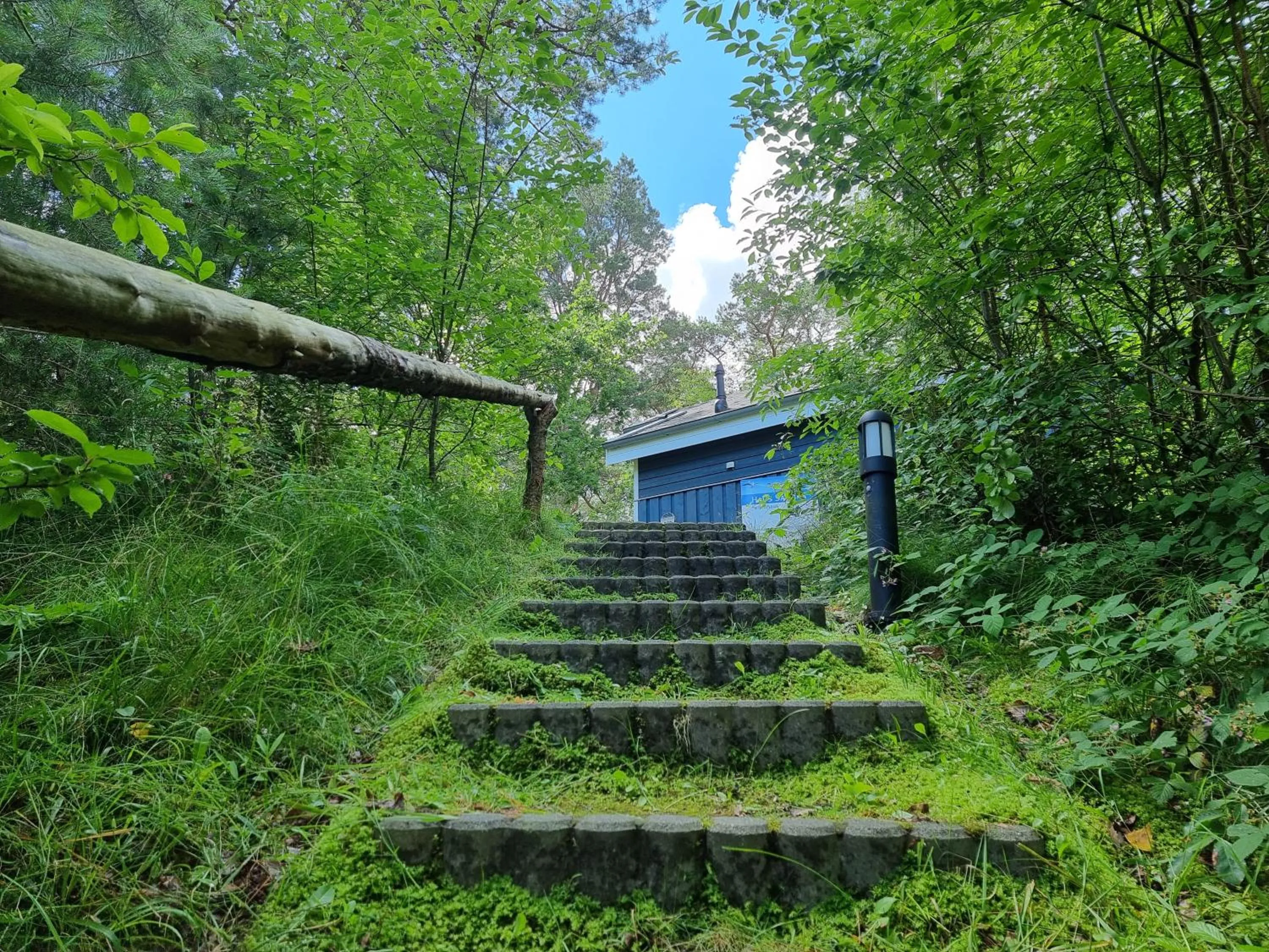 Area and facilities in Haus Sandra