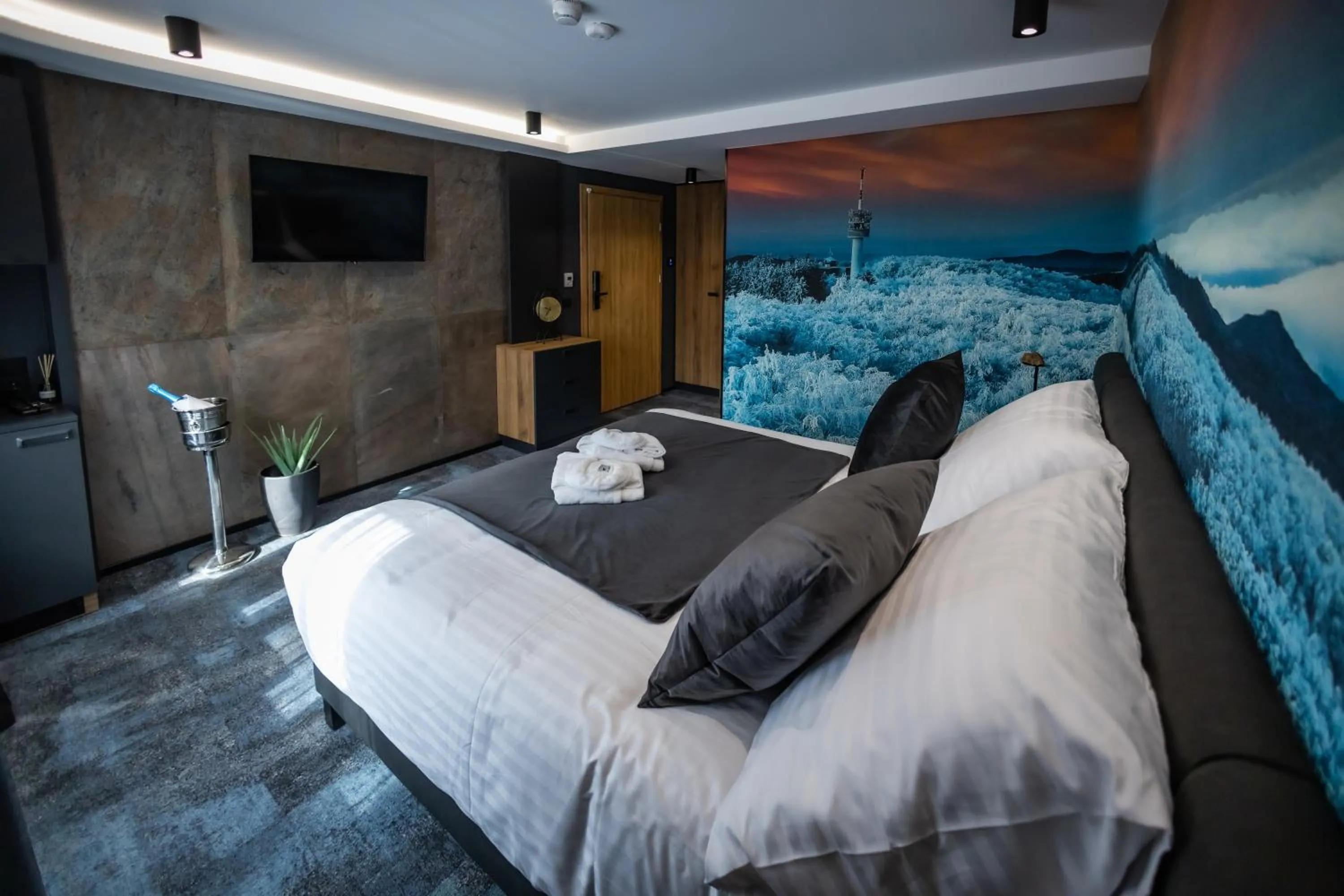 Bed in 4 Évszak Erdeihotel**** - Mátrafüred