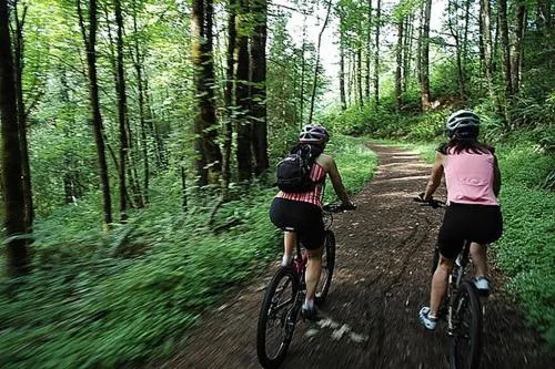 Natural landscape in 4 Évszak Erdeihotel**** - Mátrafüred