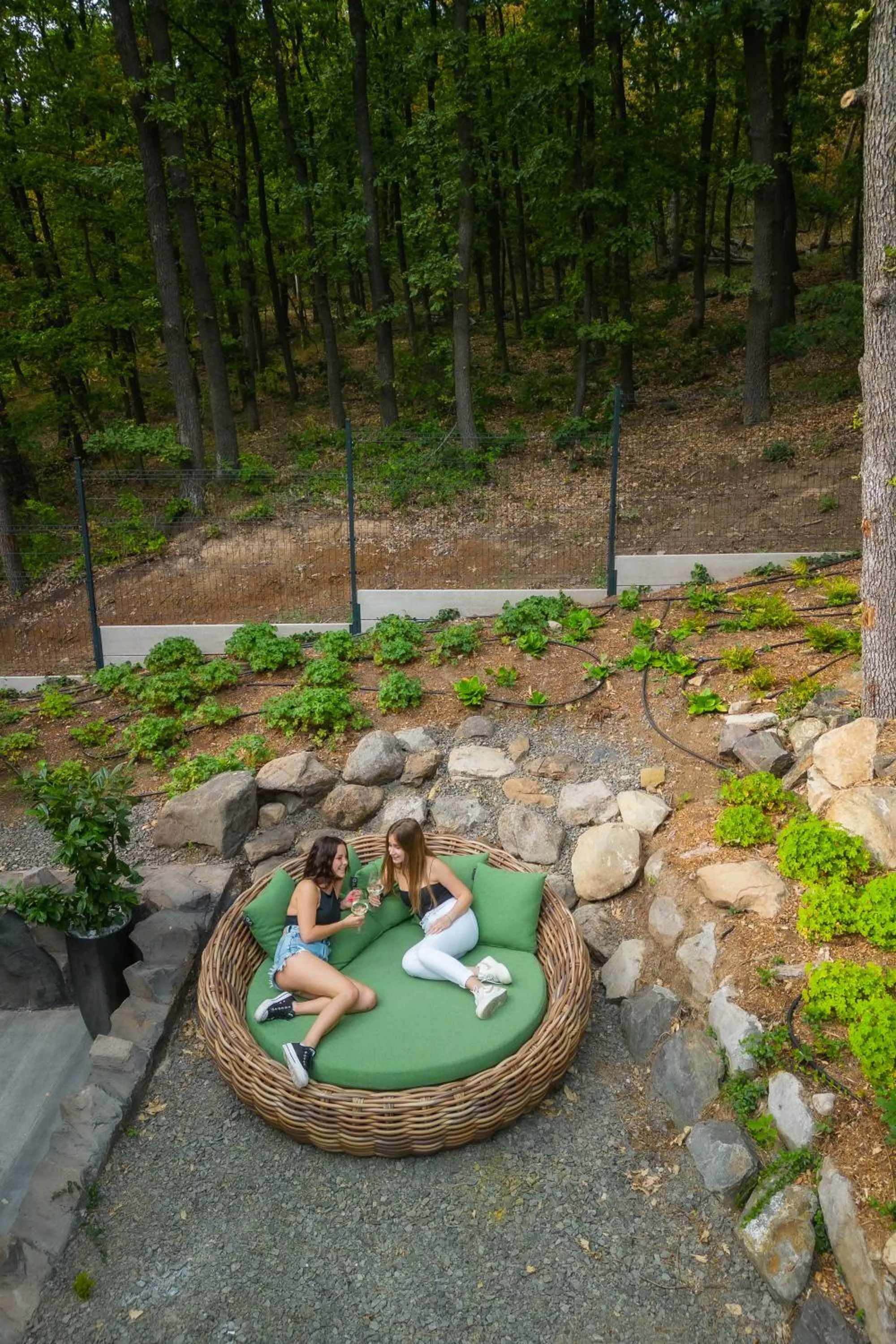 Day in 4 Évszak Erdeihotel**** - Mátrafüred