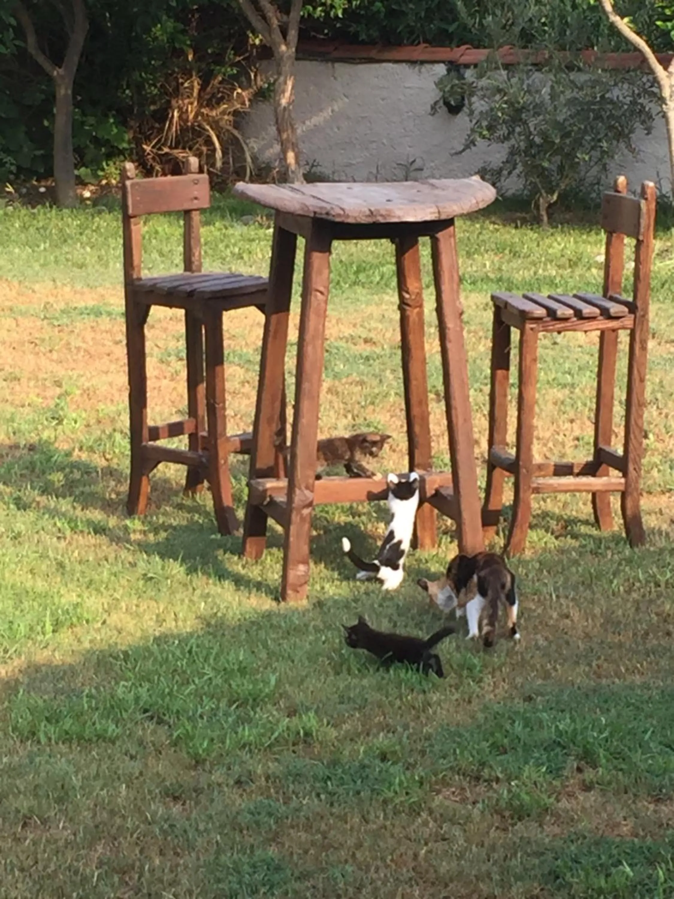 Garden in Yaprak Hotel