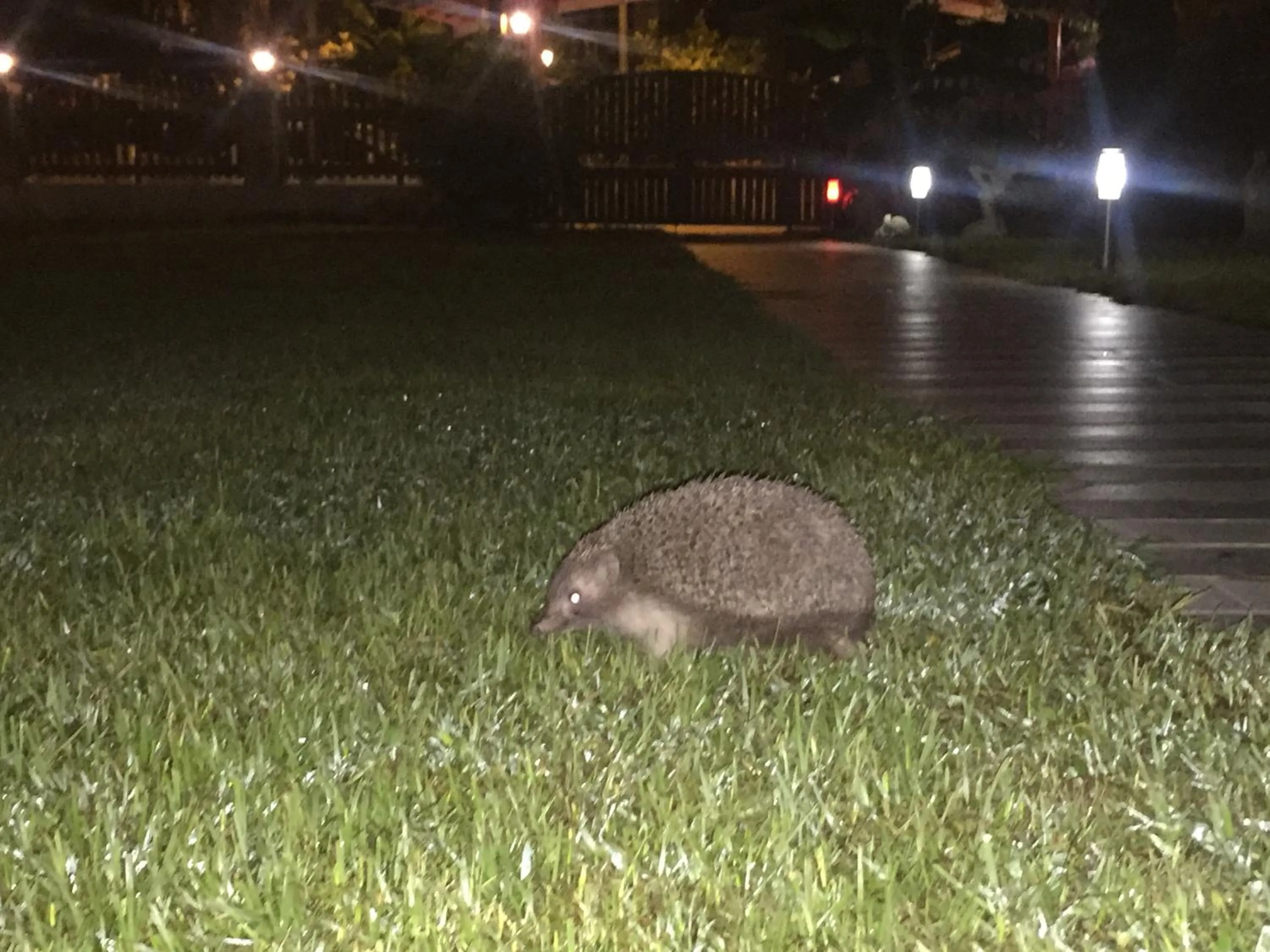 Facade/entrance in Yaprak Hotel
