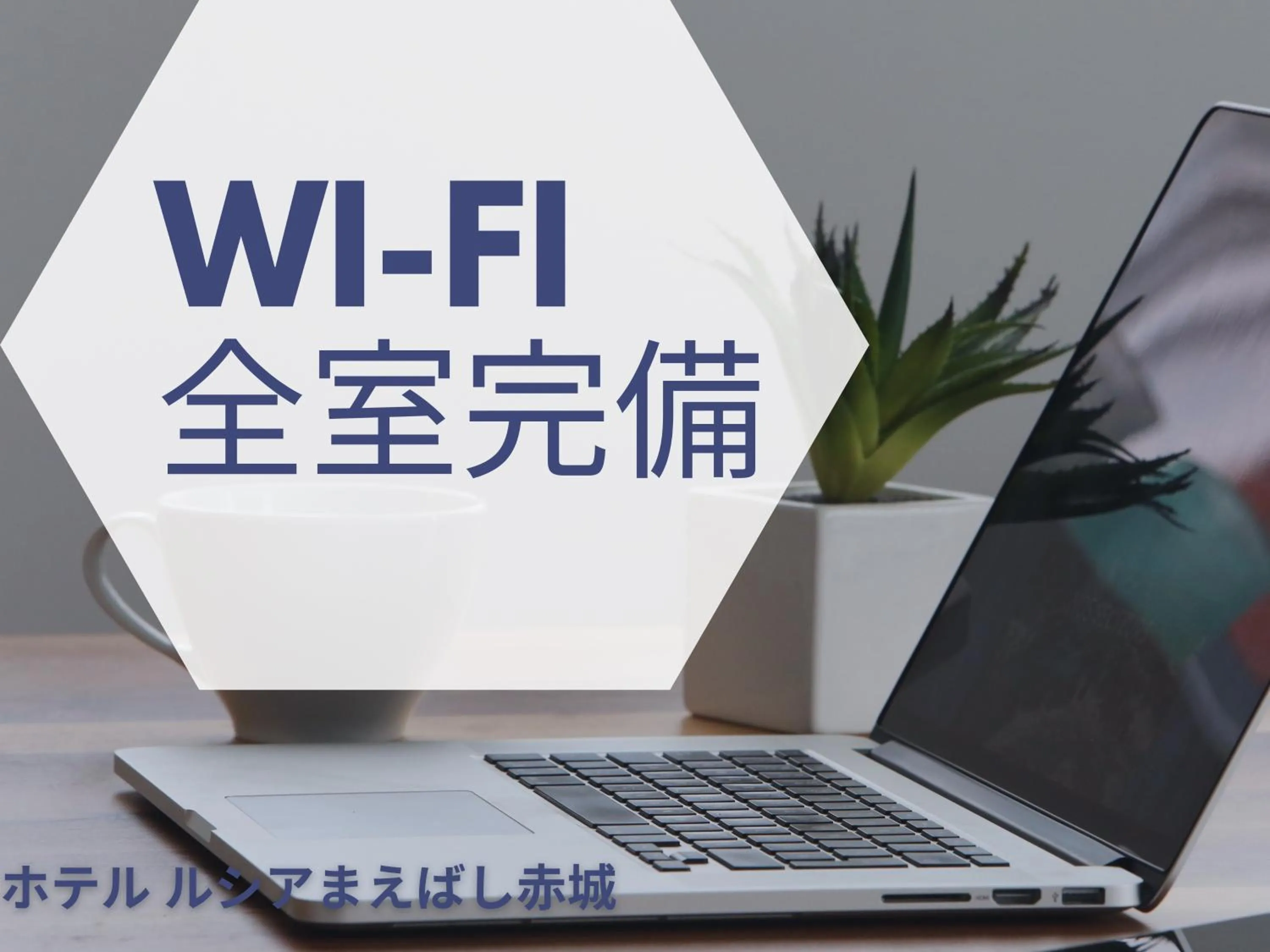 TV and multimedia in Hotel Lucia at Maebashi Akagi