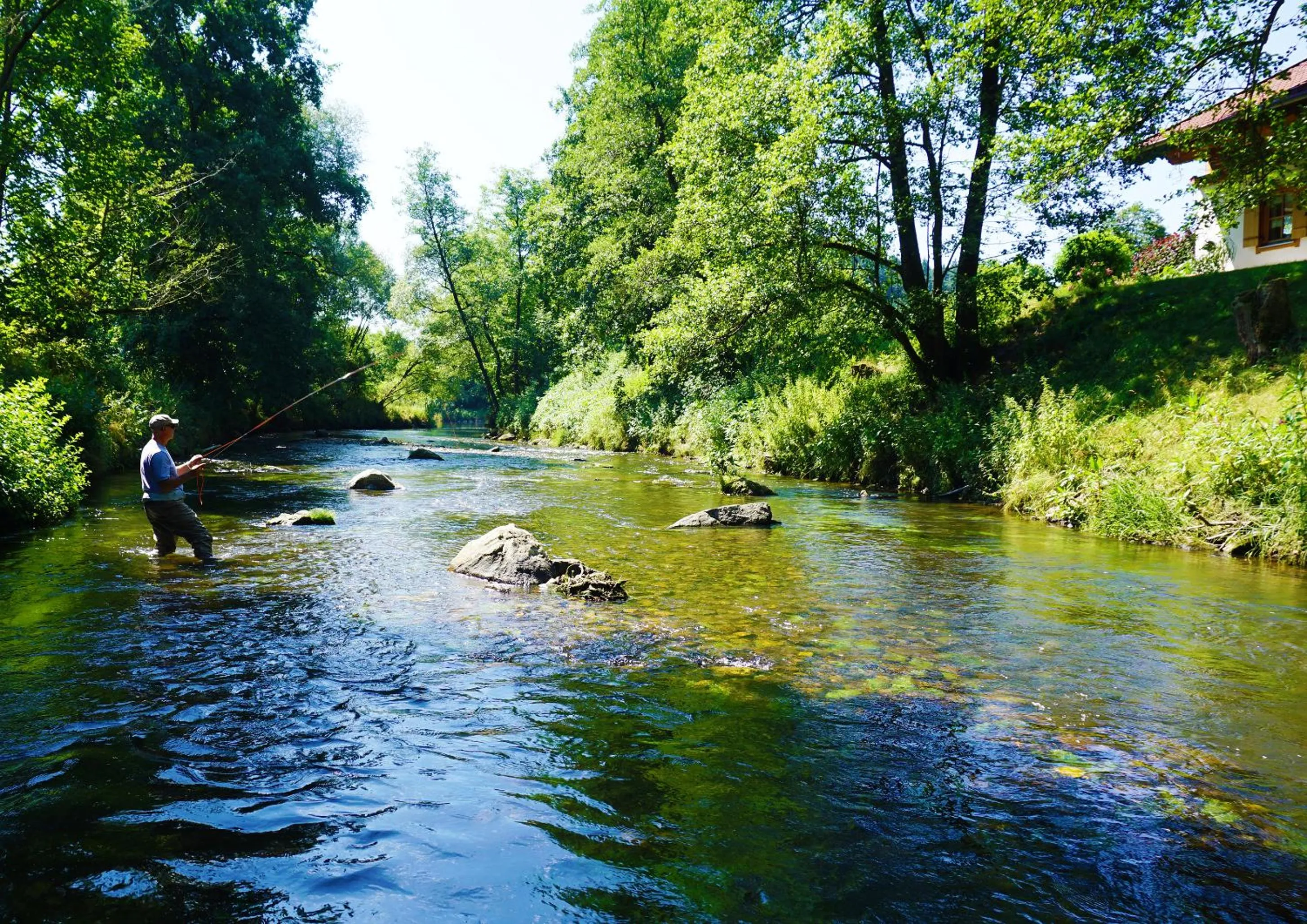 Natural landscape in Gasthof Pension Fischerstüberl
