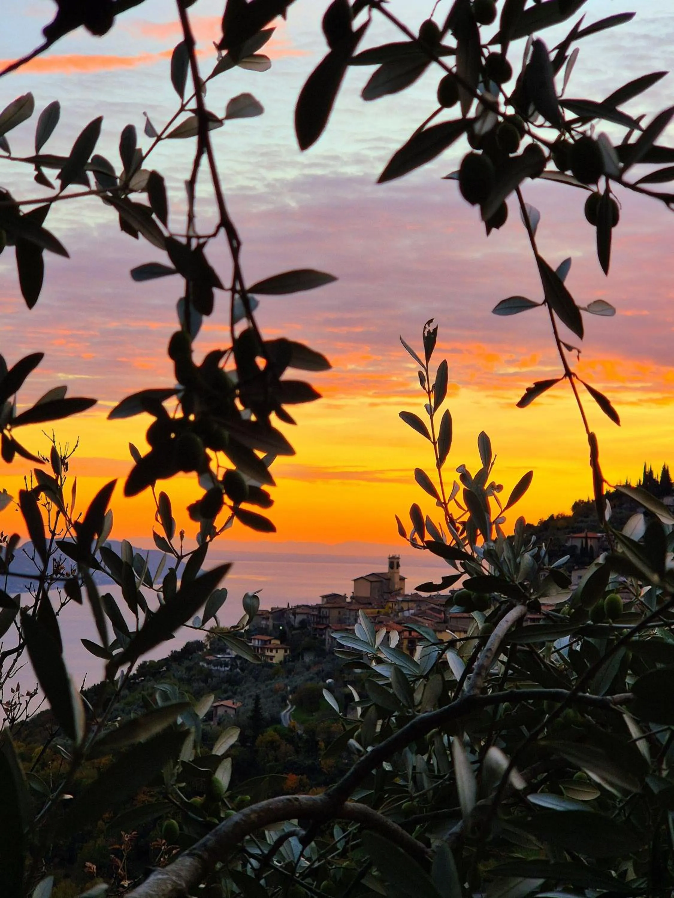 View (from property/room) in Residence Casa Silvana