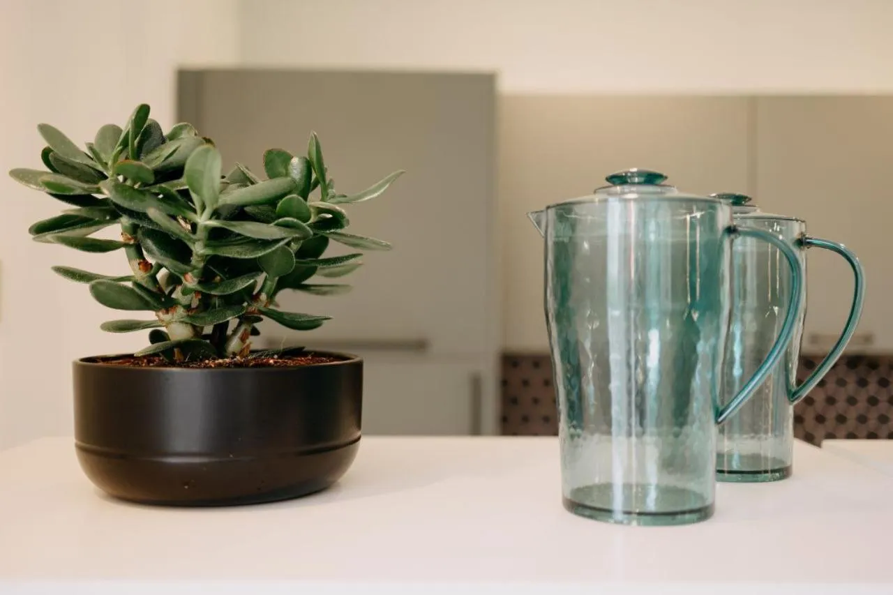 Gli Ulivi Rooms And Breakfast