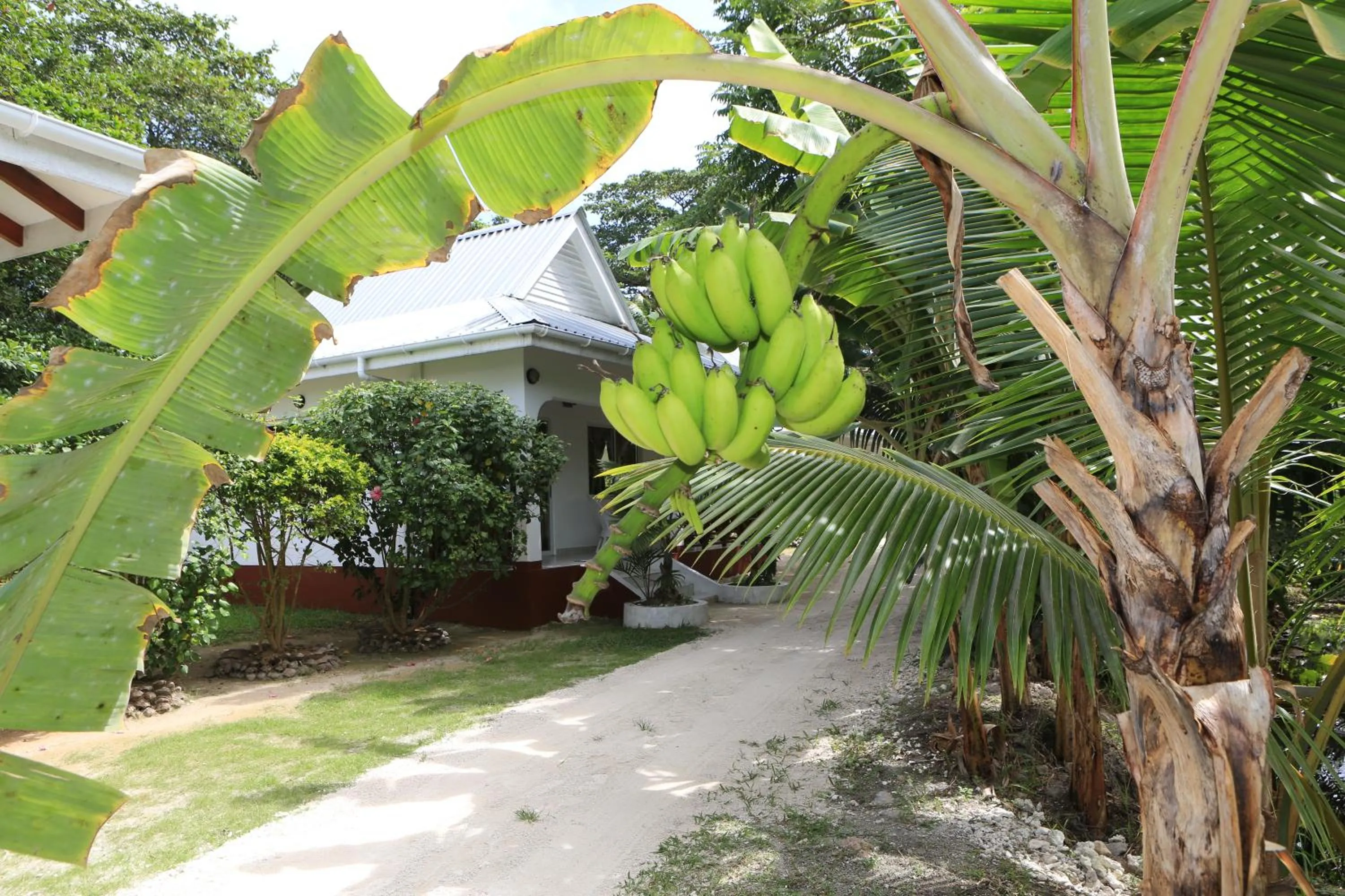 Garden in Villa Veuve Casadani Hotel