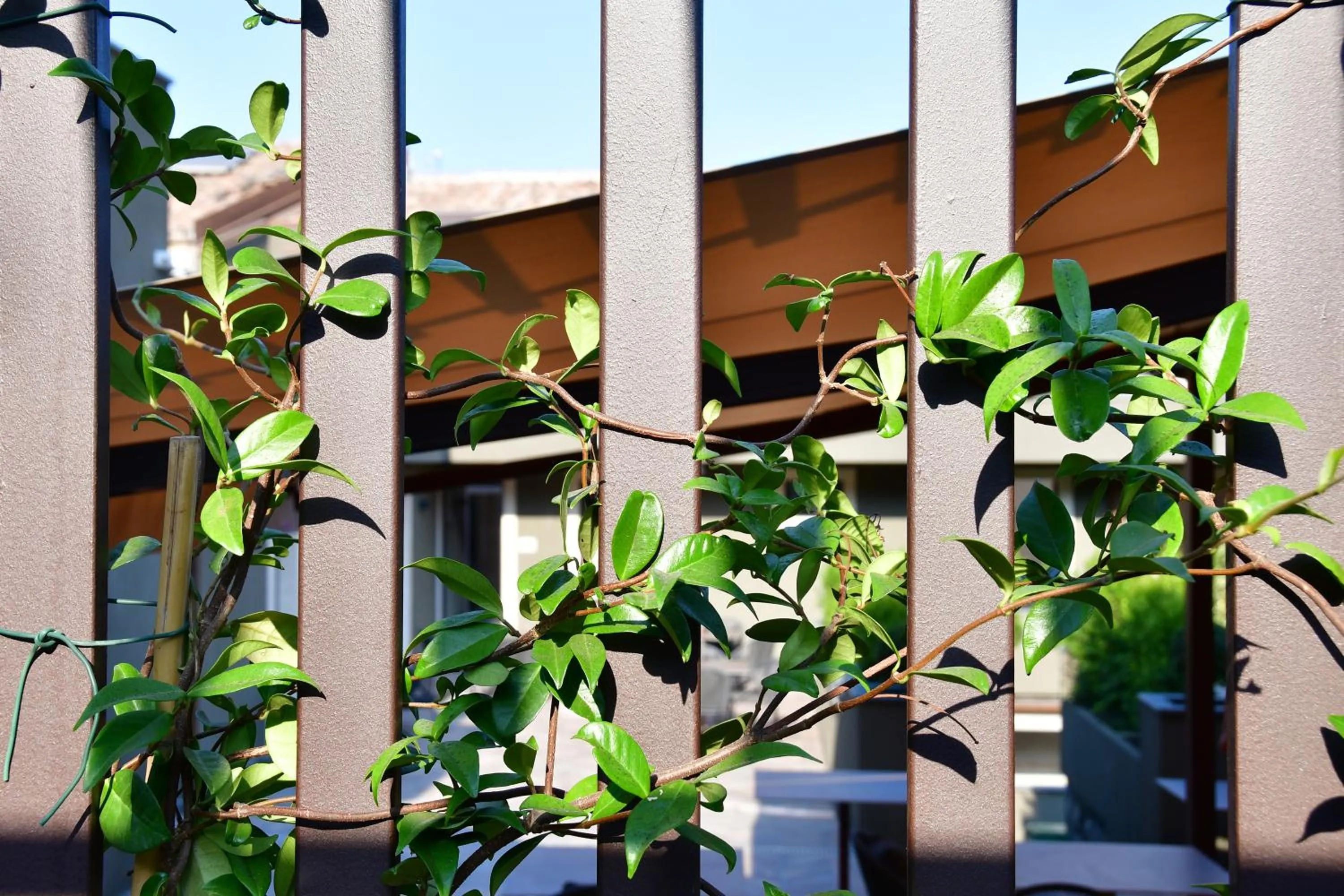 Balcony/Terrace in San Anton Hotel