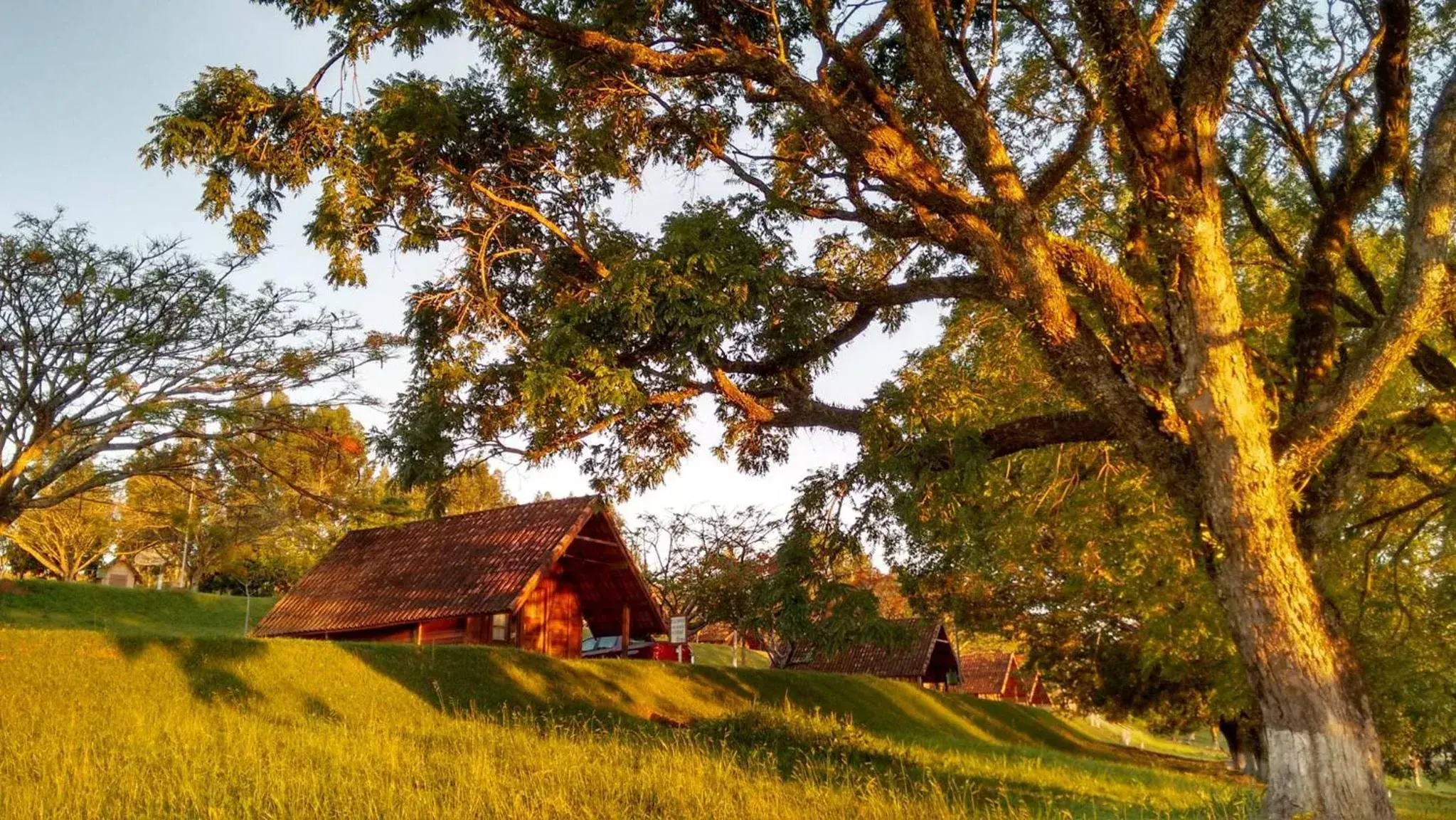 Chalet in Hotel Fazenda Menino da Porteira Chalet in Hotel Fazenda Menino da Porteira