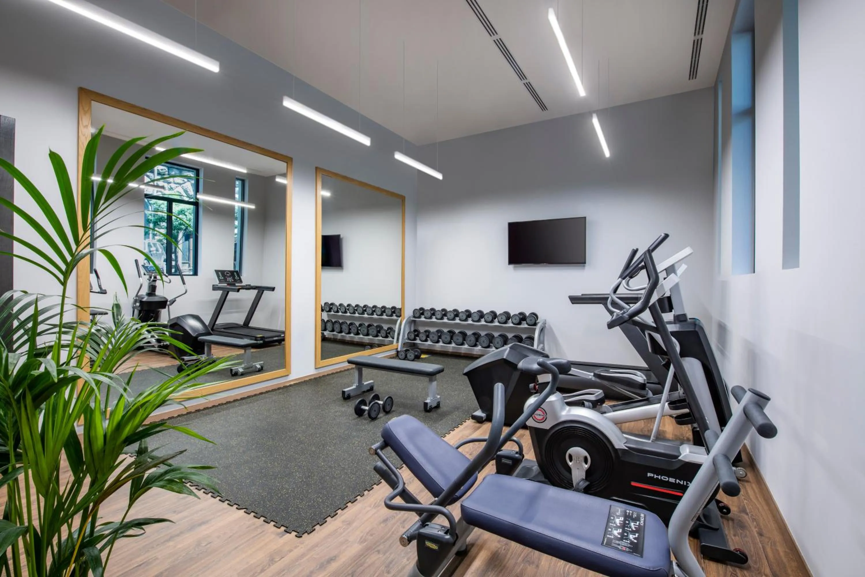 Fitness centre/facilities in Tbilisi Philharmonic Hotel by Mercure