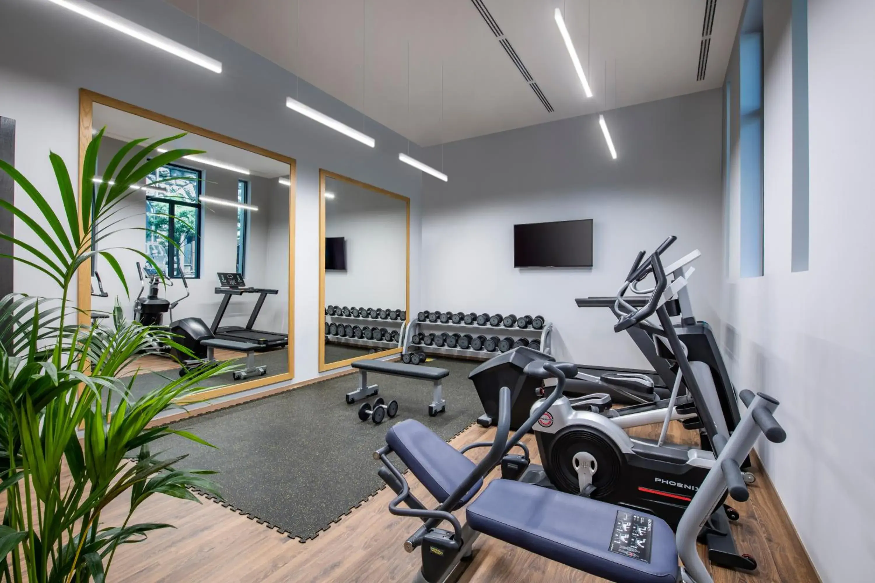 Fitness centre/facilities in Tbilisi Philharmonic Hotel by Mercure Fitness centre/facilities in Tbilisi Philharmonic Hotel by Mercure