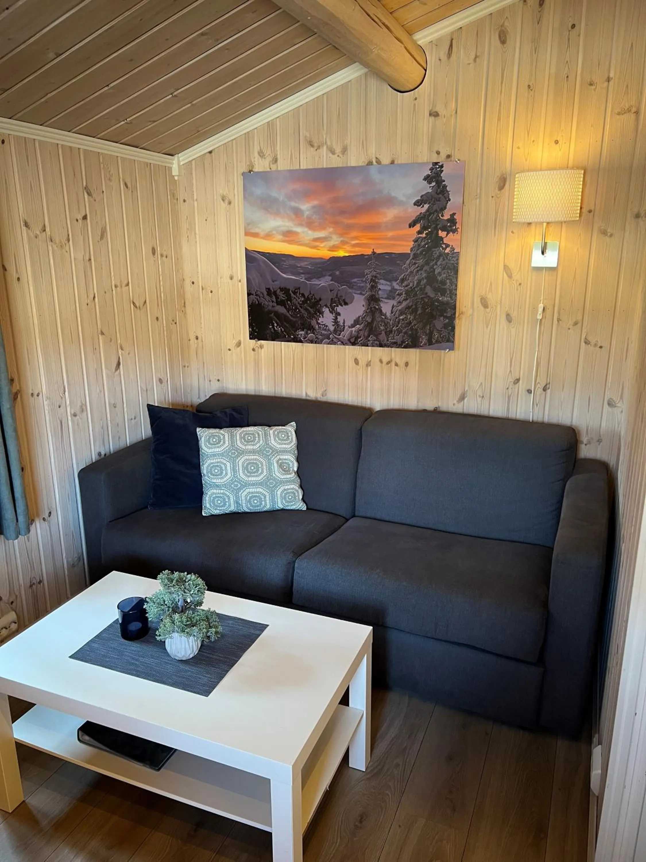 Living room in Fagernes Camping