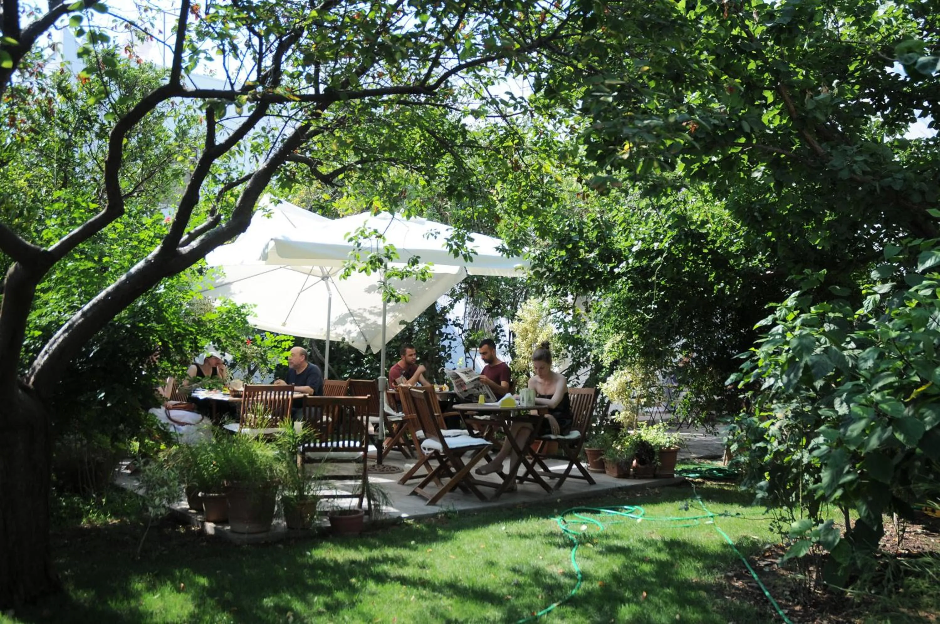 Garden in Hotel Gulec