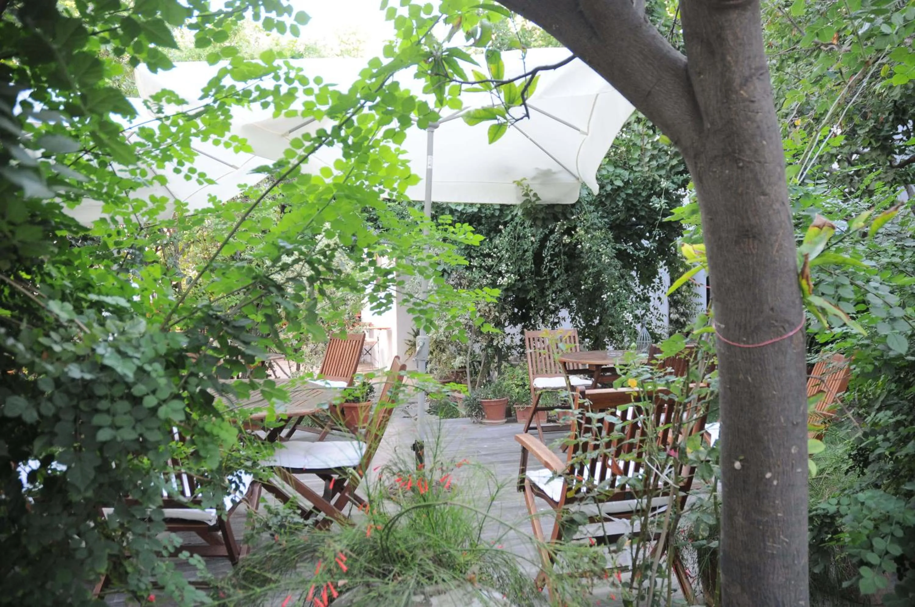 Garden in Hotel Gulec