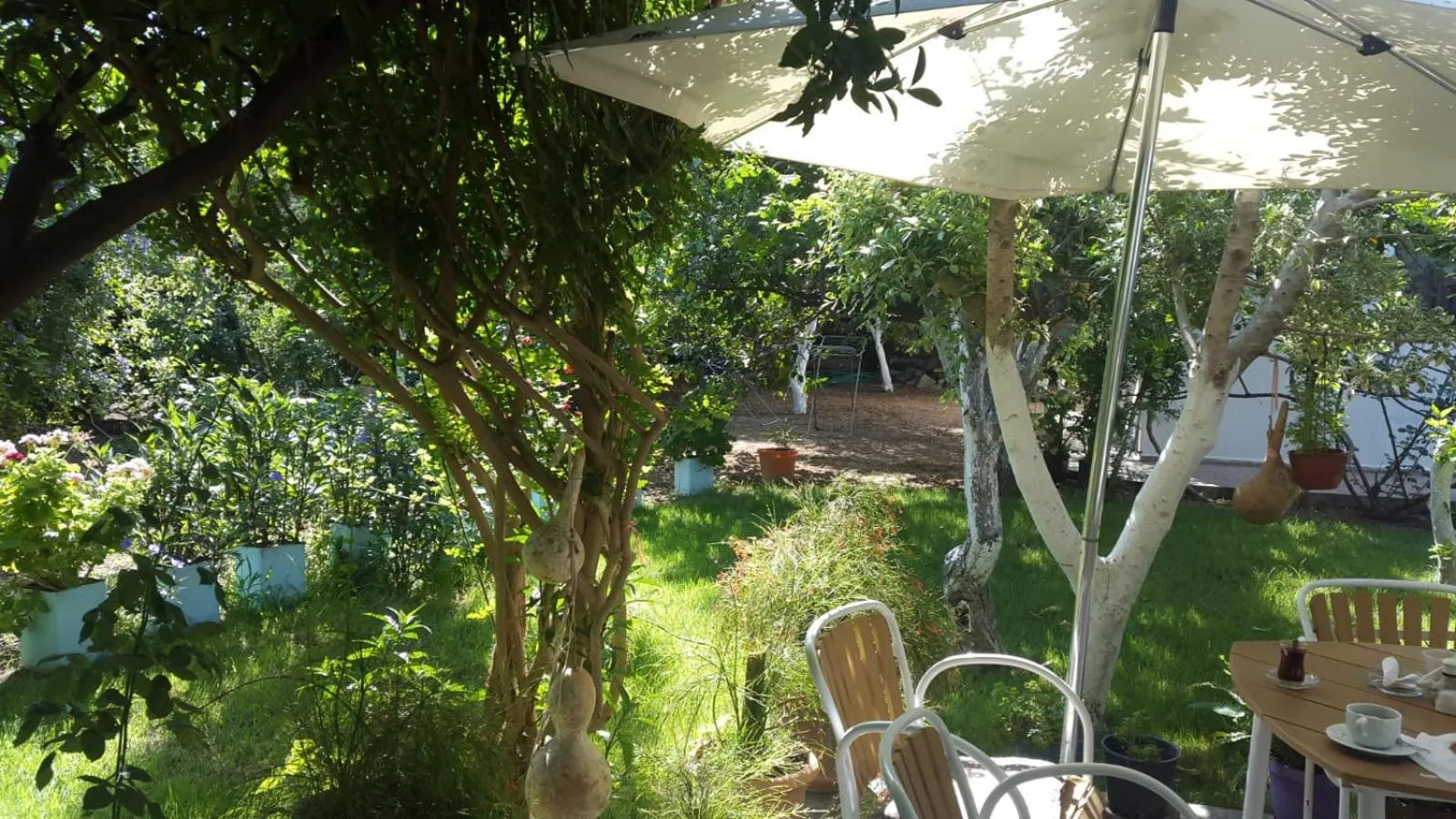 Garden in Hotel Gulec