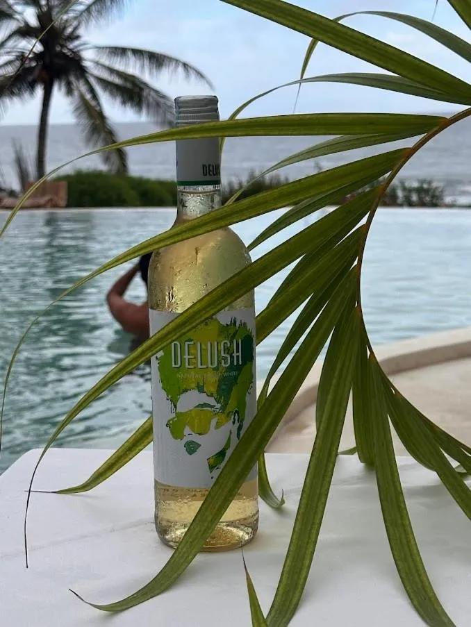 Msambweni Beach House and Private Villas