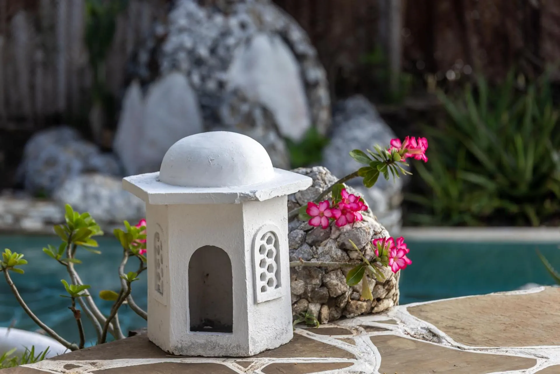 Garden view in Msambweni Beach House and Private Villas