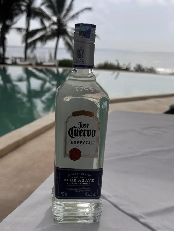 Msambweni Beach House and Private Villas