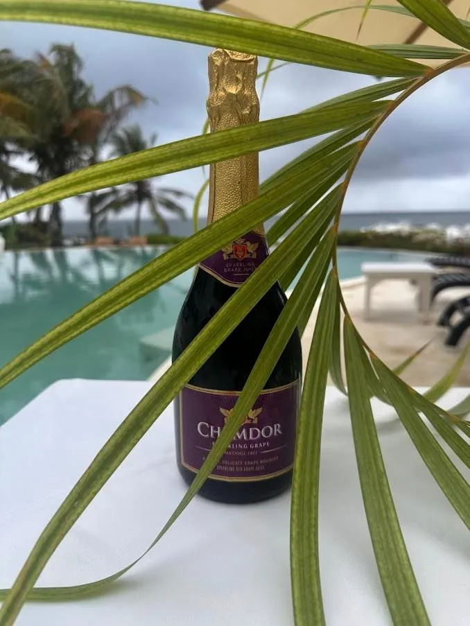 Msambweni Beach House and Private Villas