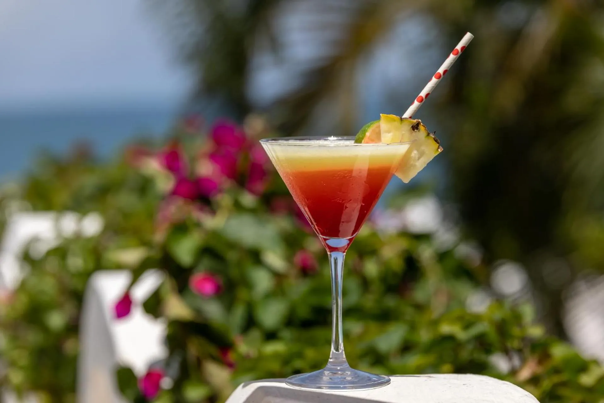 Msambweni Beach House and Private Villas