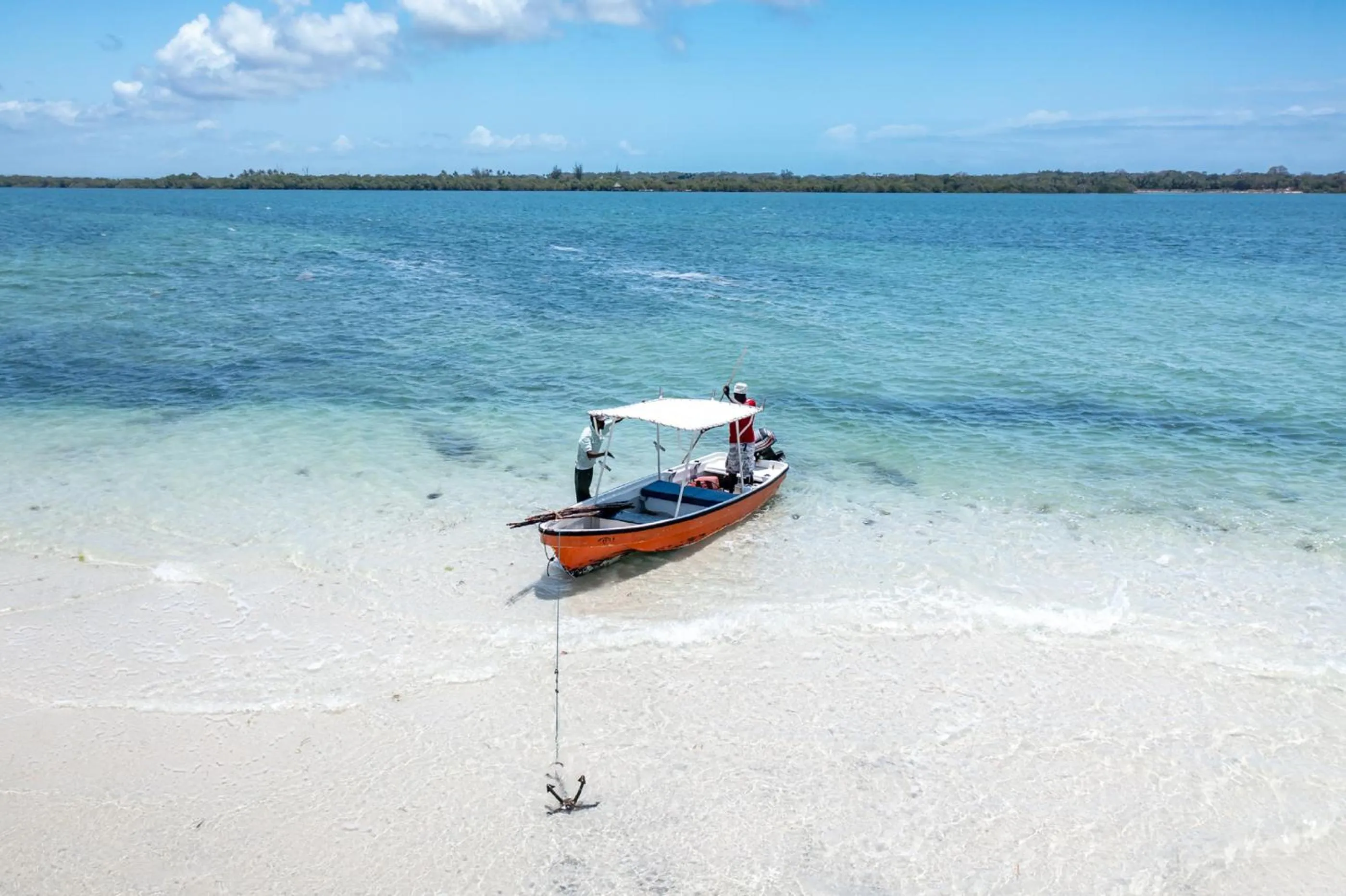 Sea view in Msambweni Beach House and Private Villas