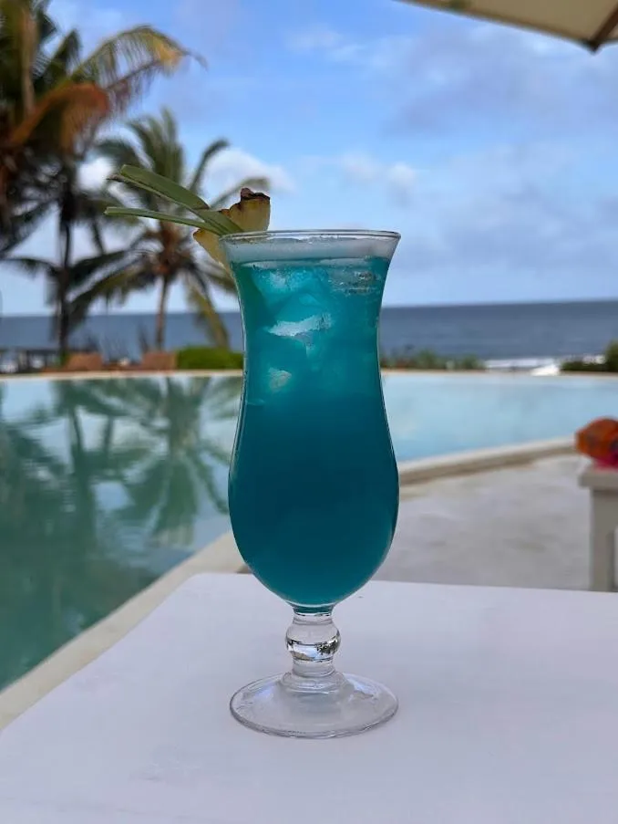 Msambweni Beach House and Private Villas