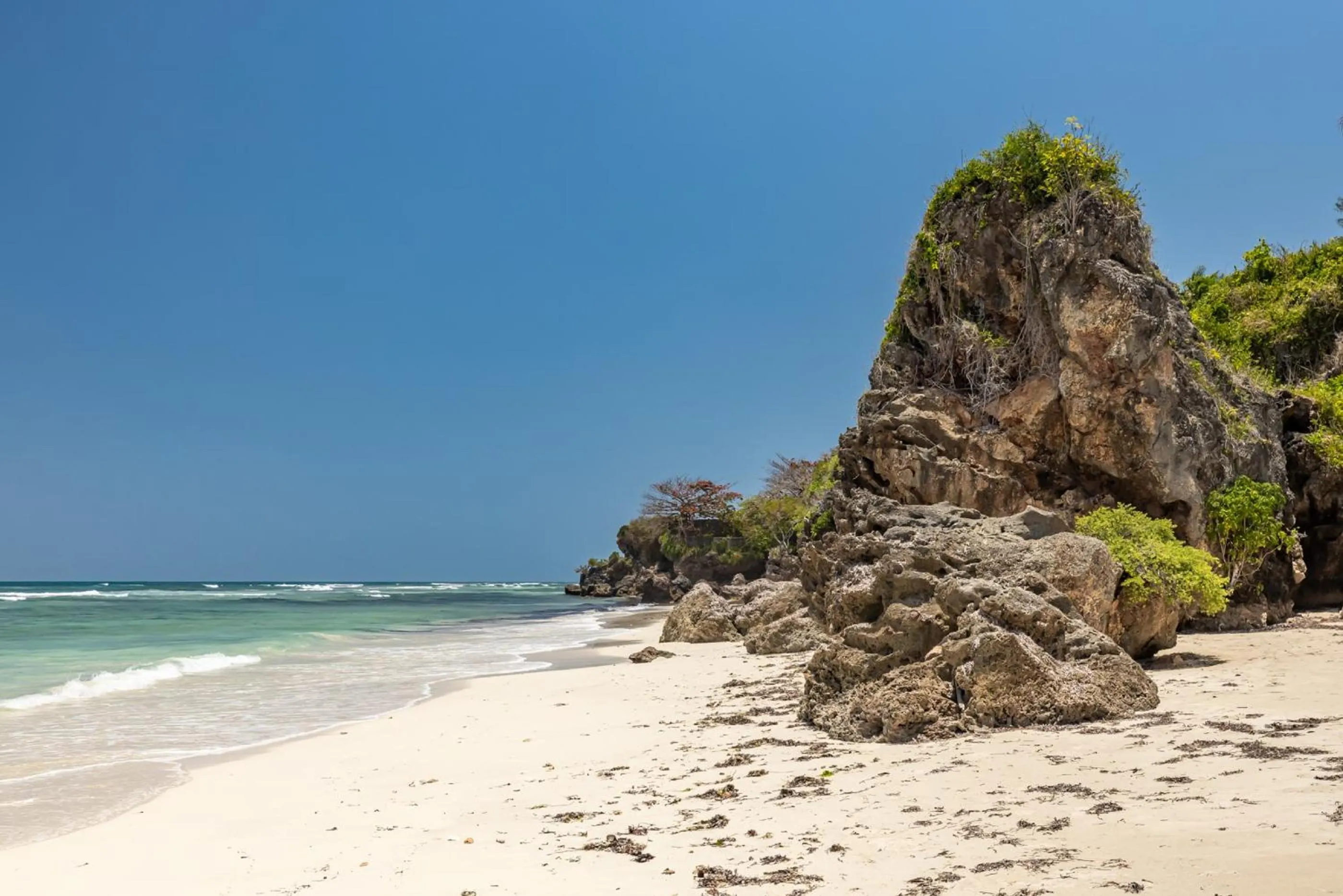 Sea view in Msambweni Beach House and Private Villas
