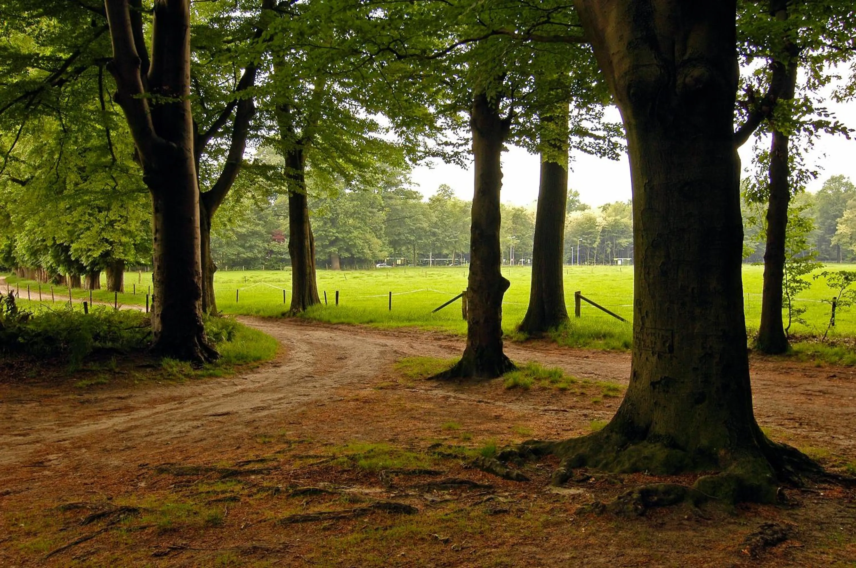 Natural landscape in Landgoed Ehzerwold