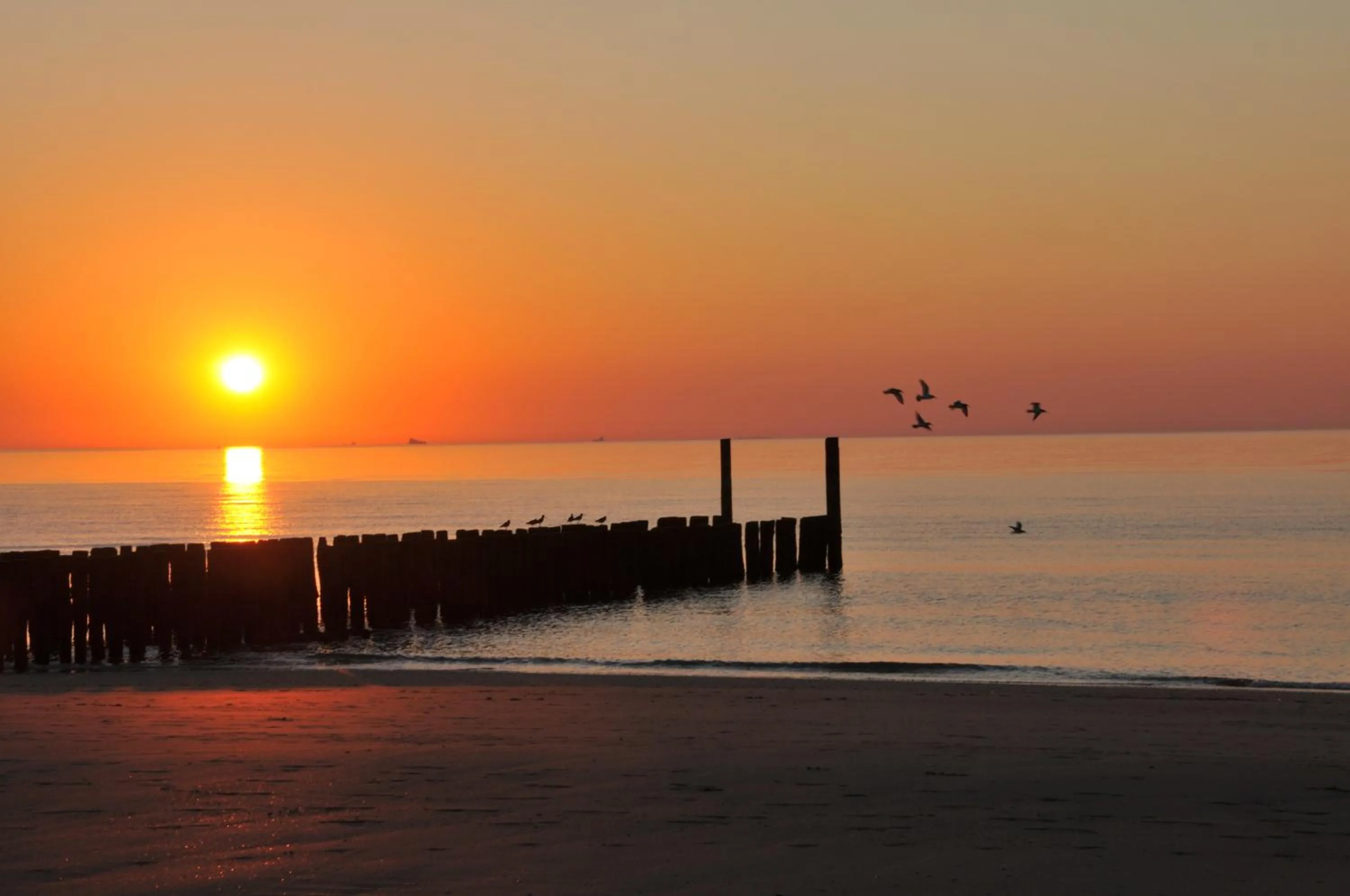 Beach in Sleep Well Ness Domburg
