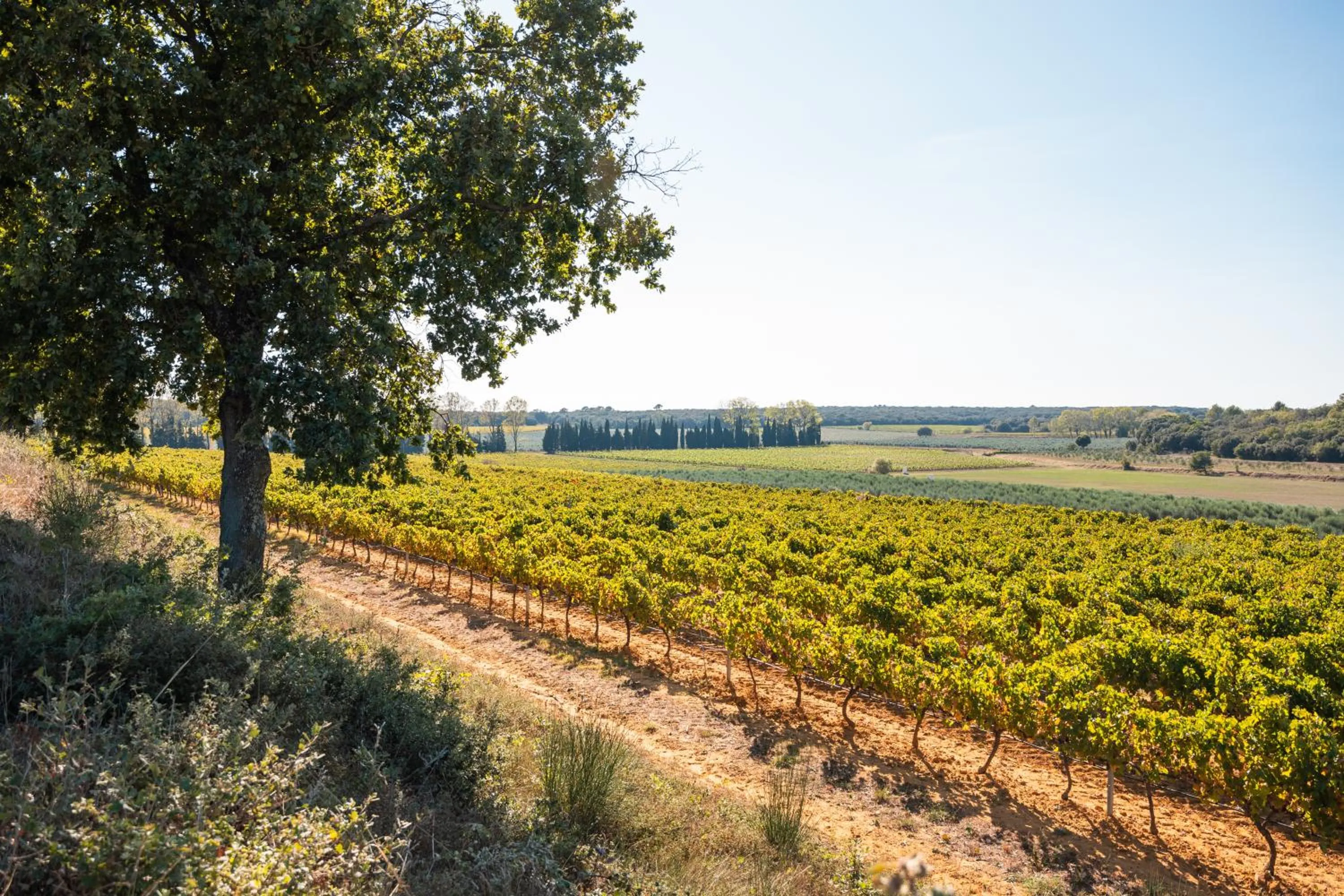 Garden in Domaine de Panery
