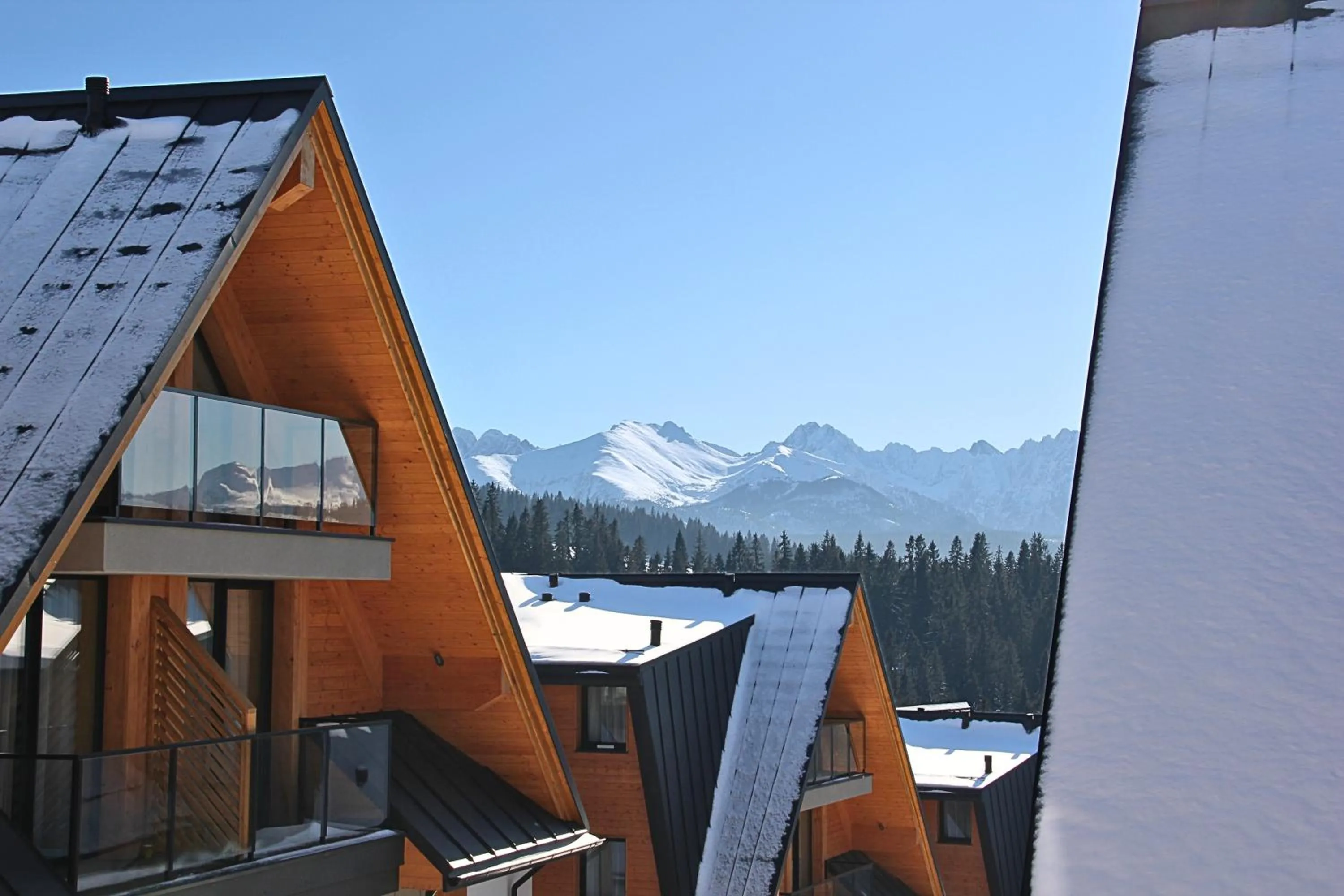 Apartamenty Aries Residence Bukowina