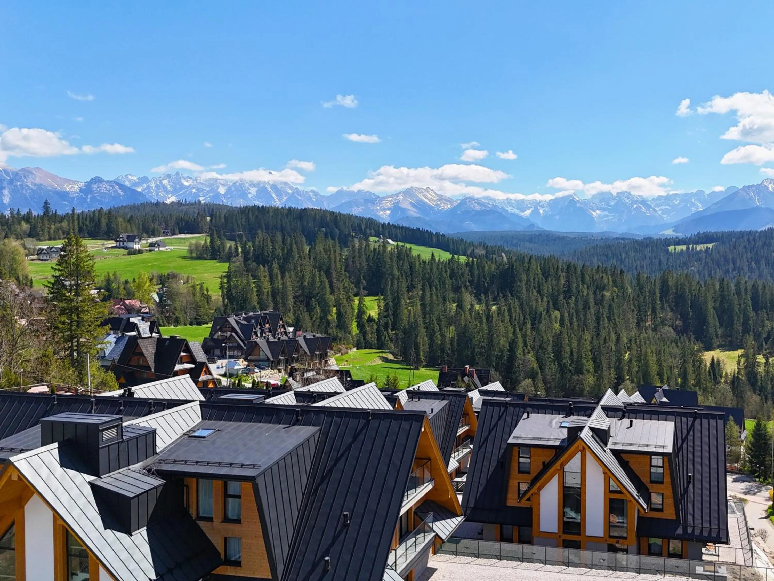 Mountain view in Apartamenty Aries Residence Bukowina