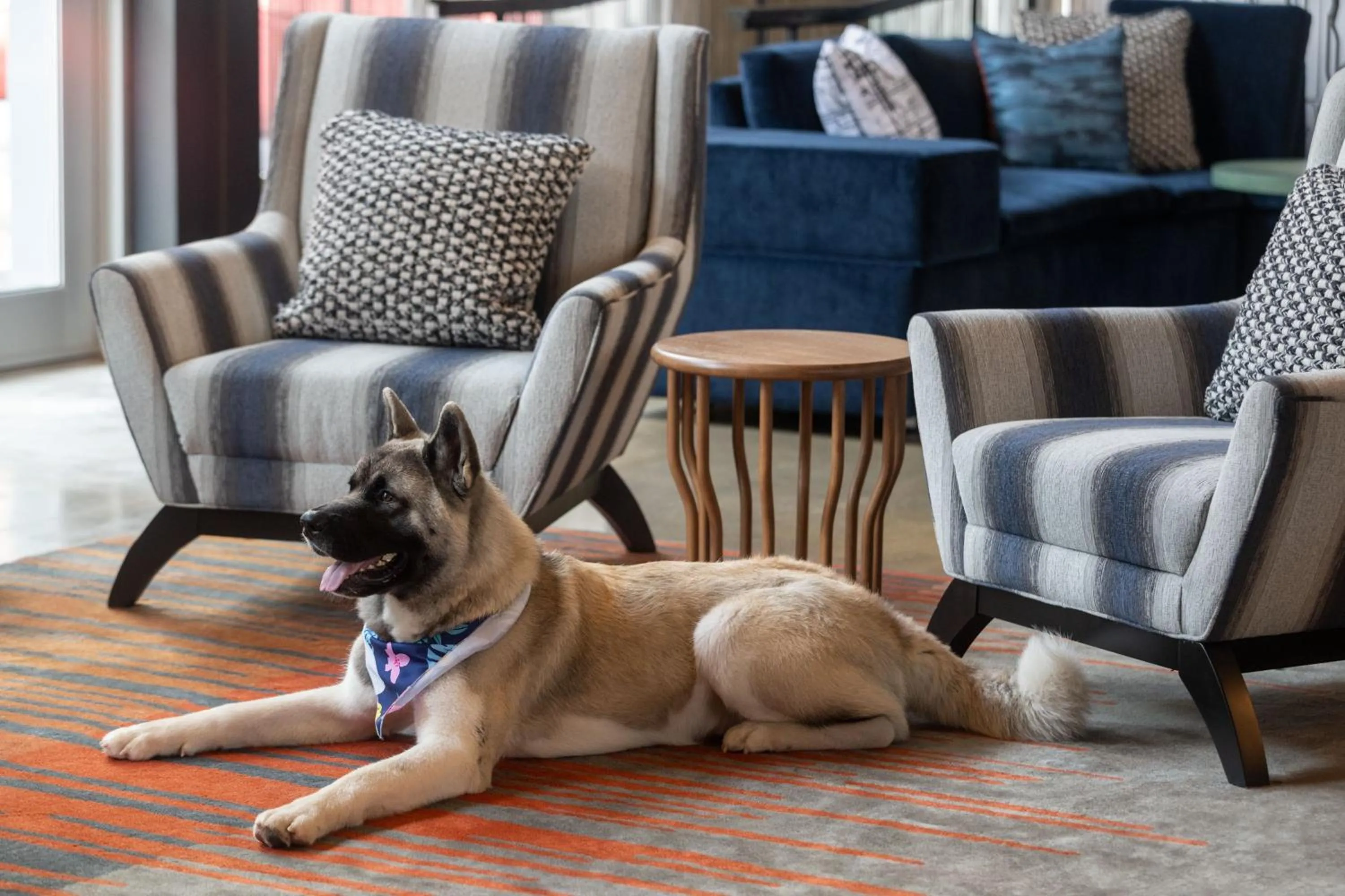 Lobby or reception in Aloft Beachwood