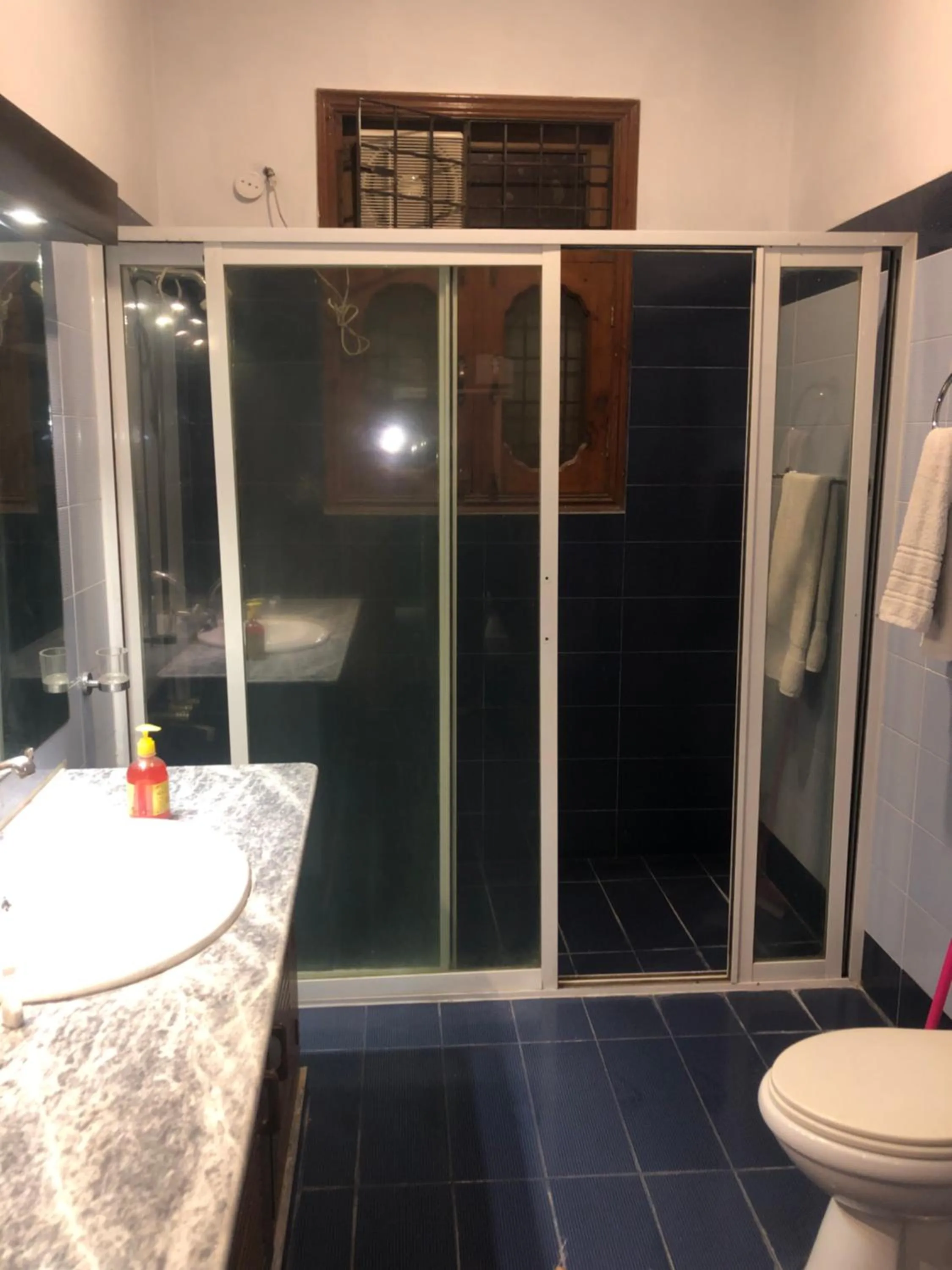 Shower in The Exclusive House