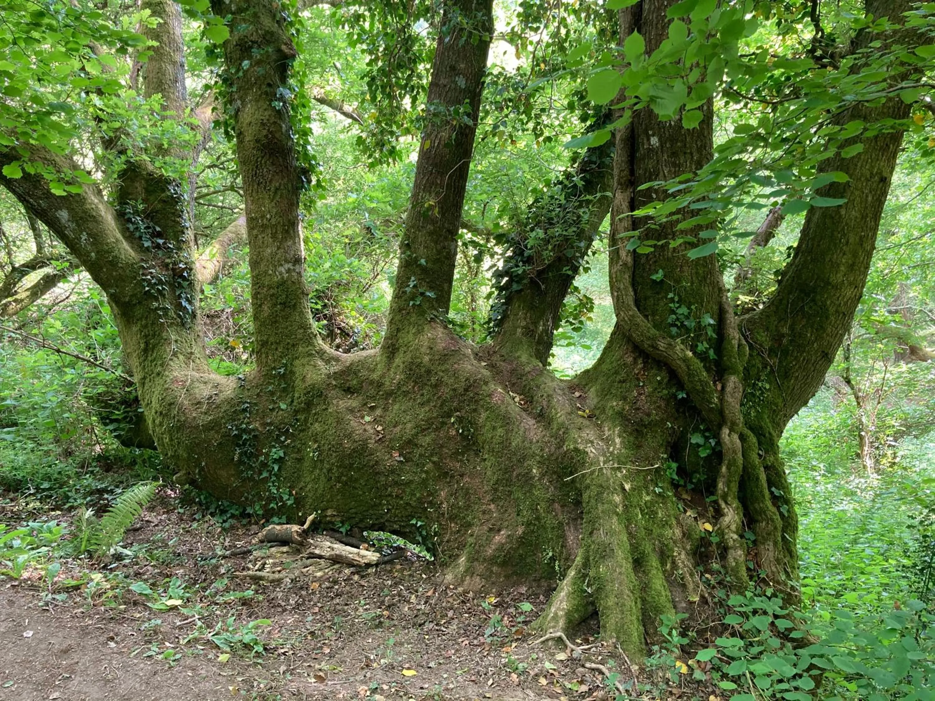 Neighbourhood in The Cridford Inn