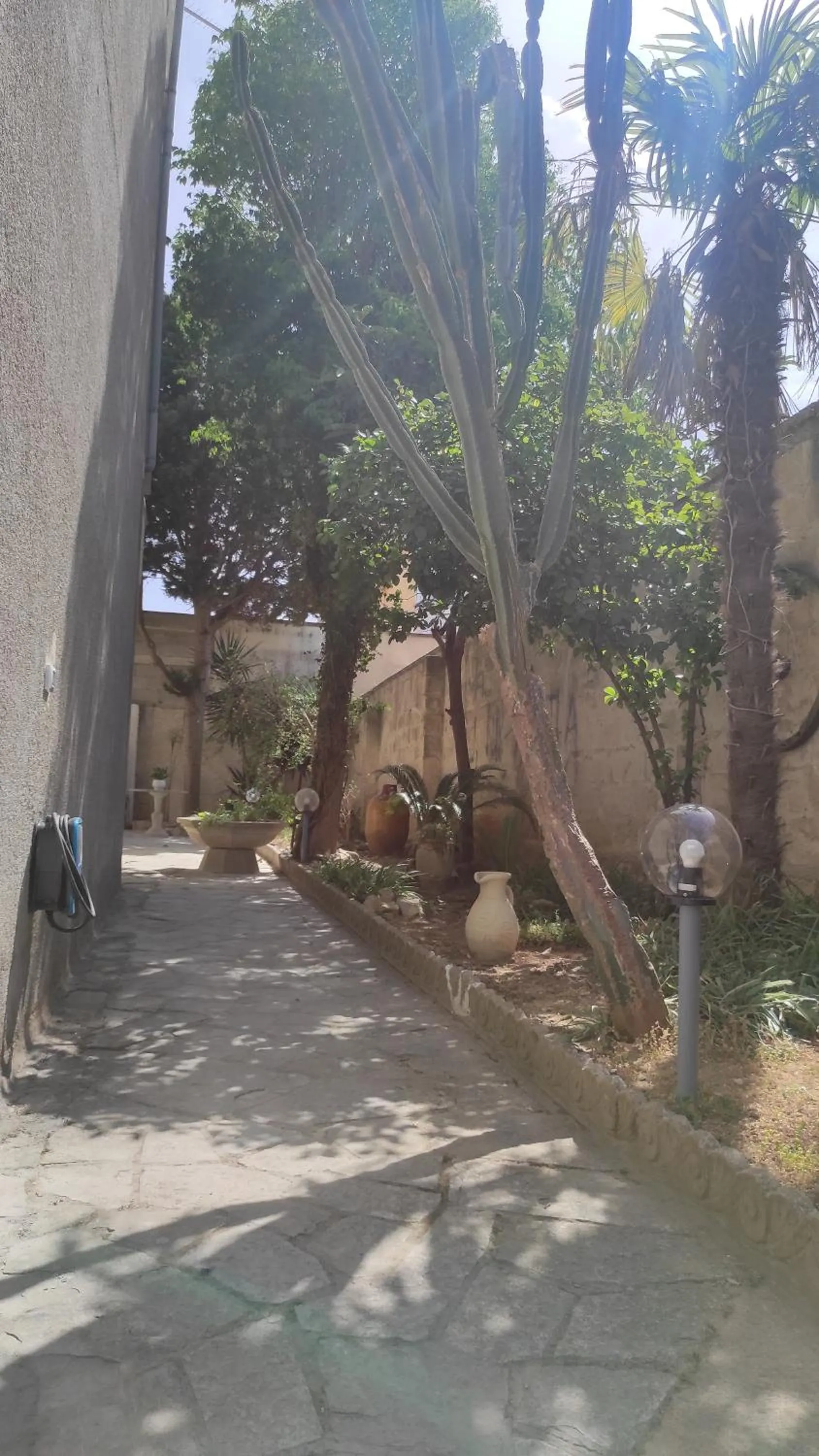 View (from property/room) in Casa Salento