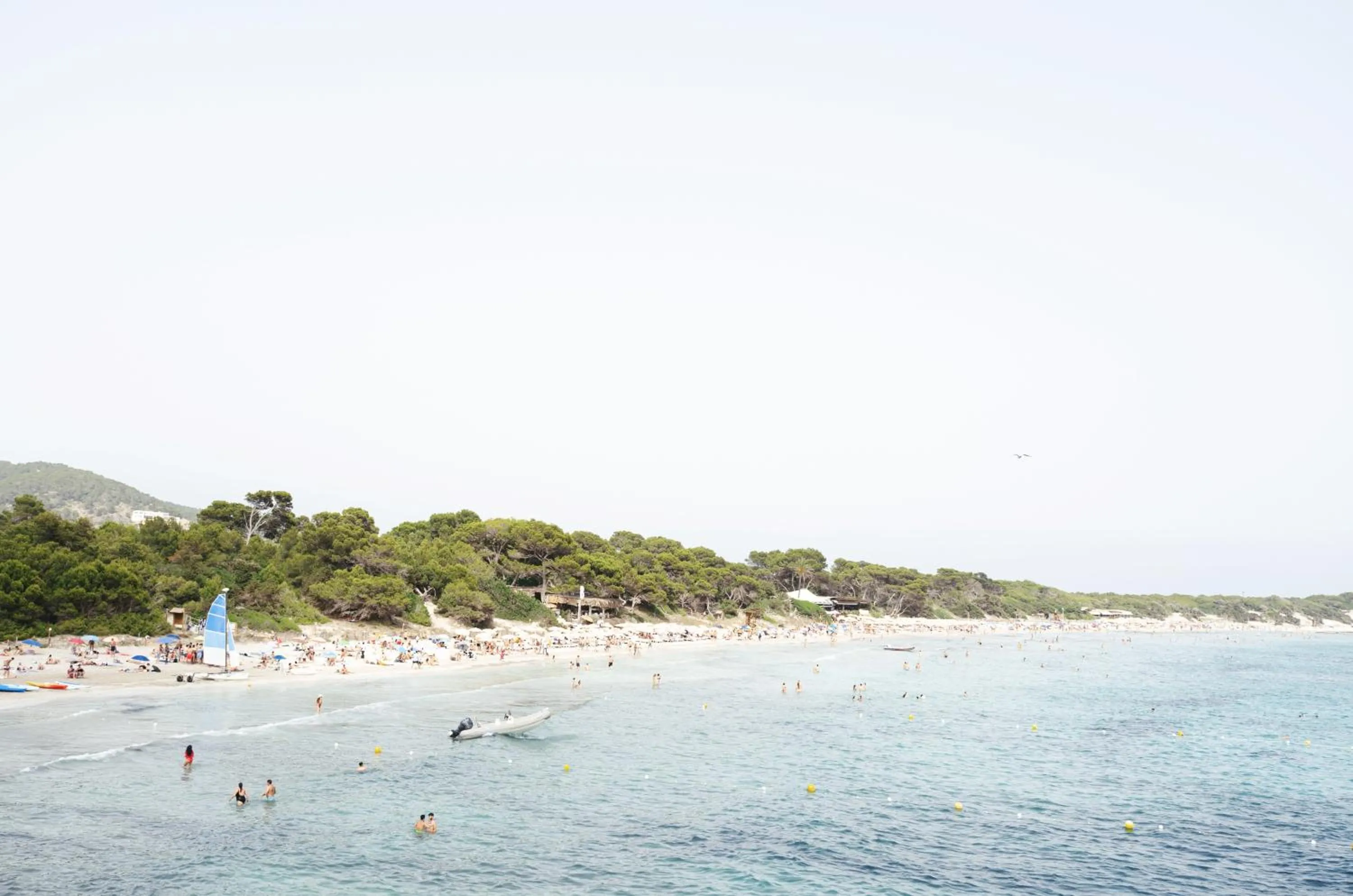 Natural landscape in Hostal Mar y Sal