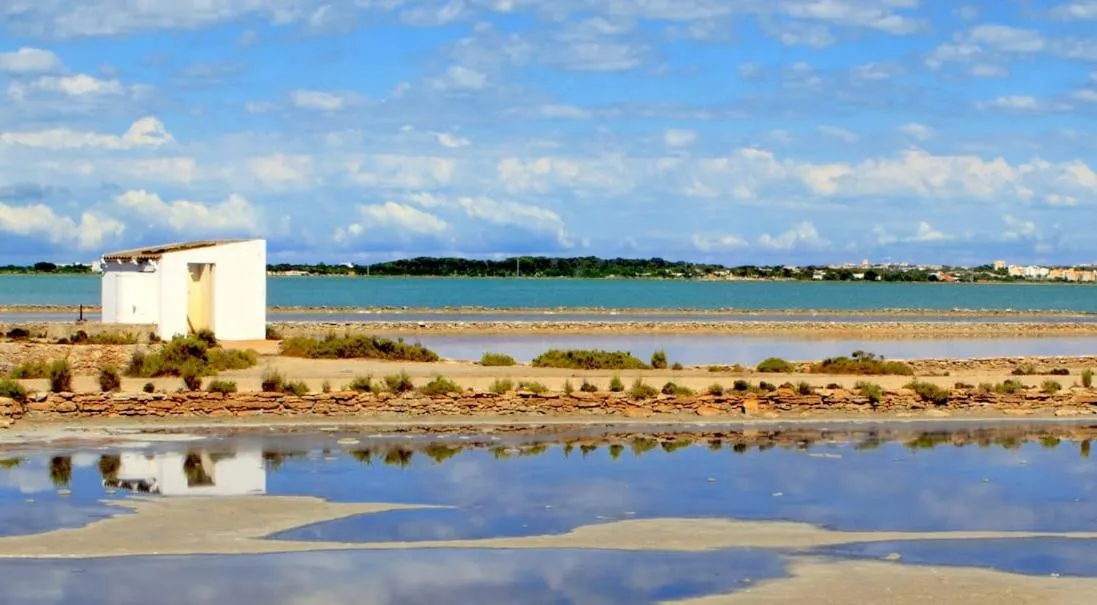 Natural landscape in Hostal Mar y Sal