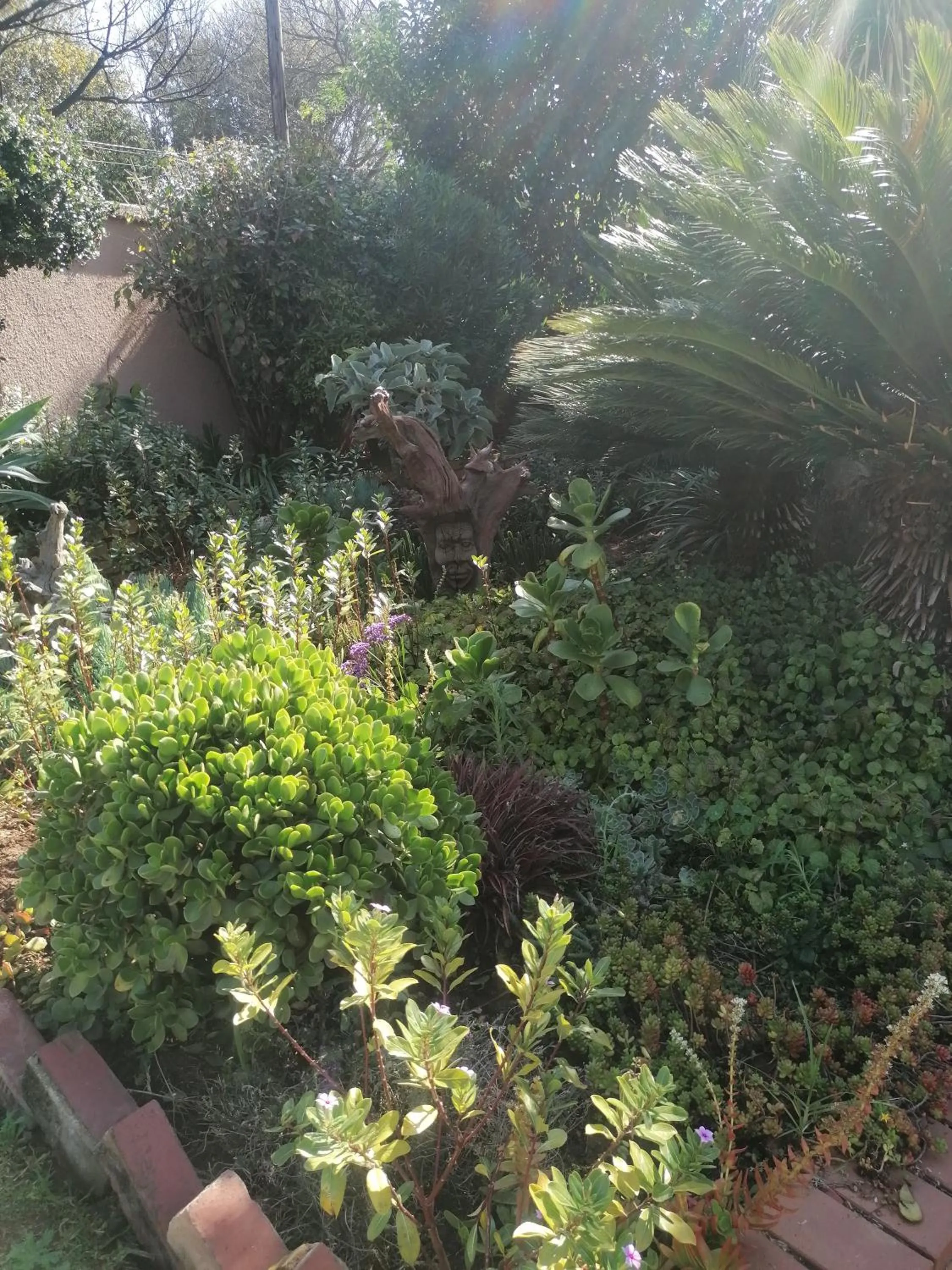 Ferndale guest house and party venue