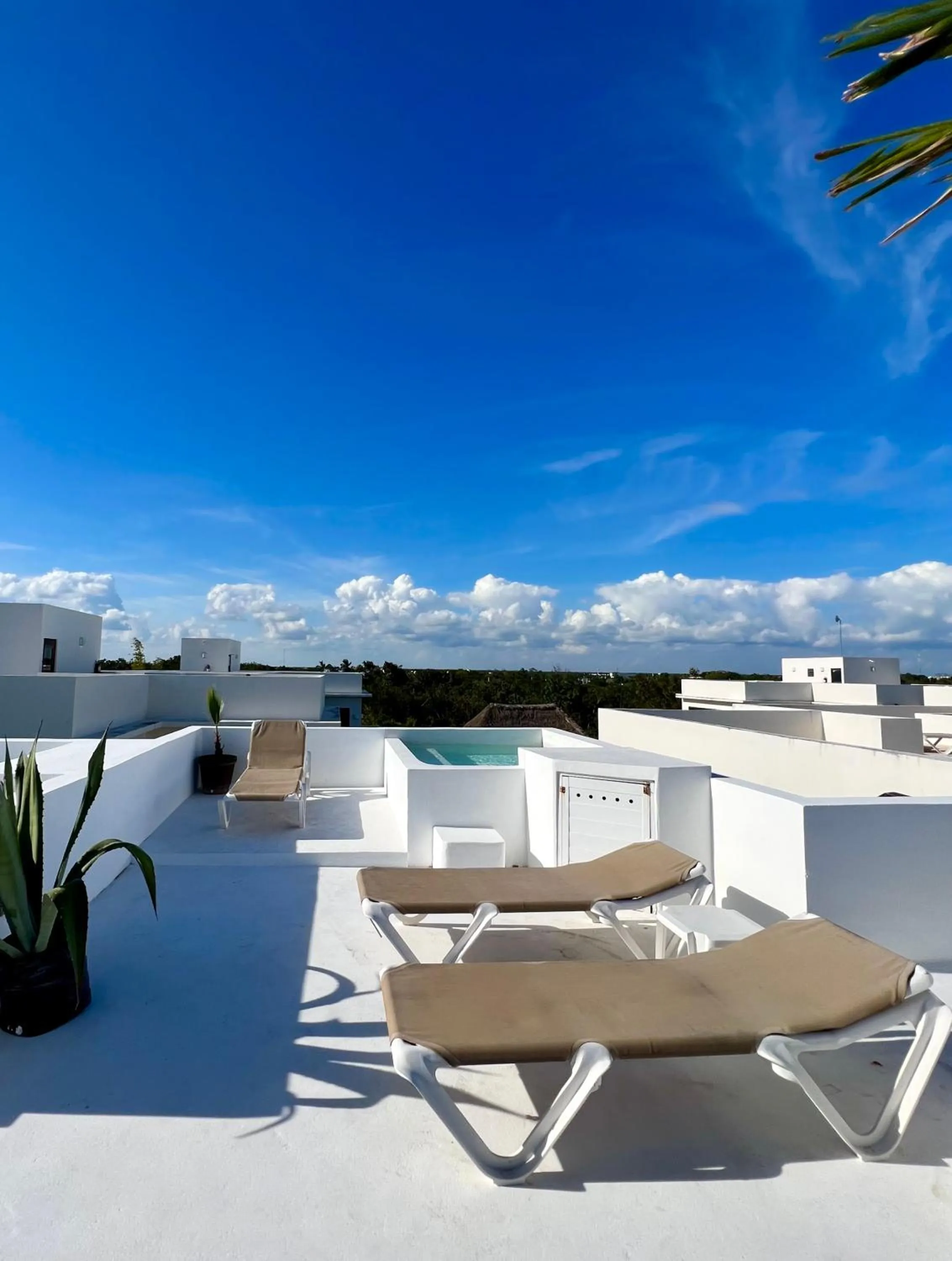 Amazing Luxury Penthouse with sunset,sunrise view, private Jacuzzi and rooftop pool