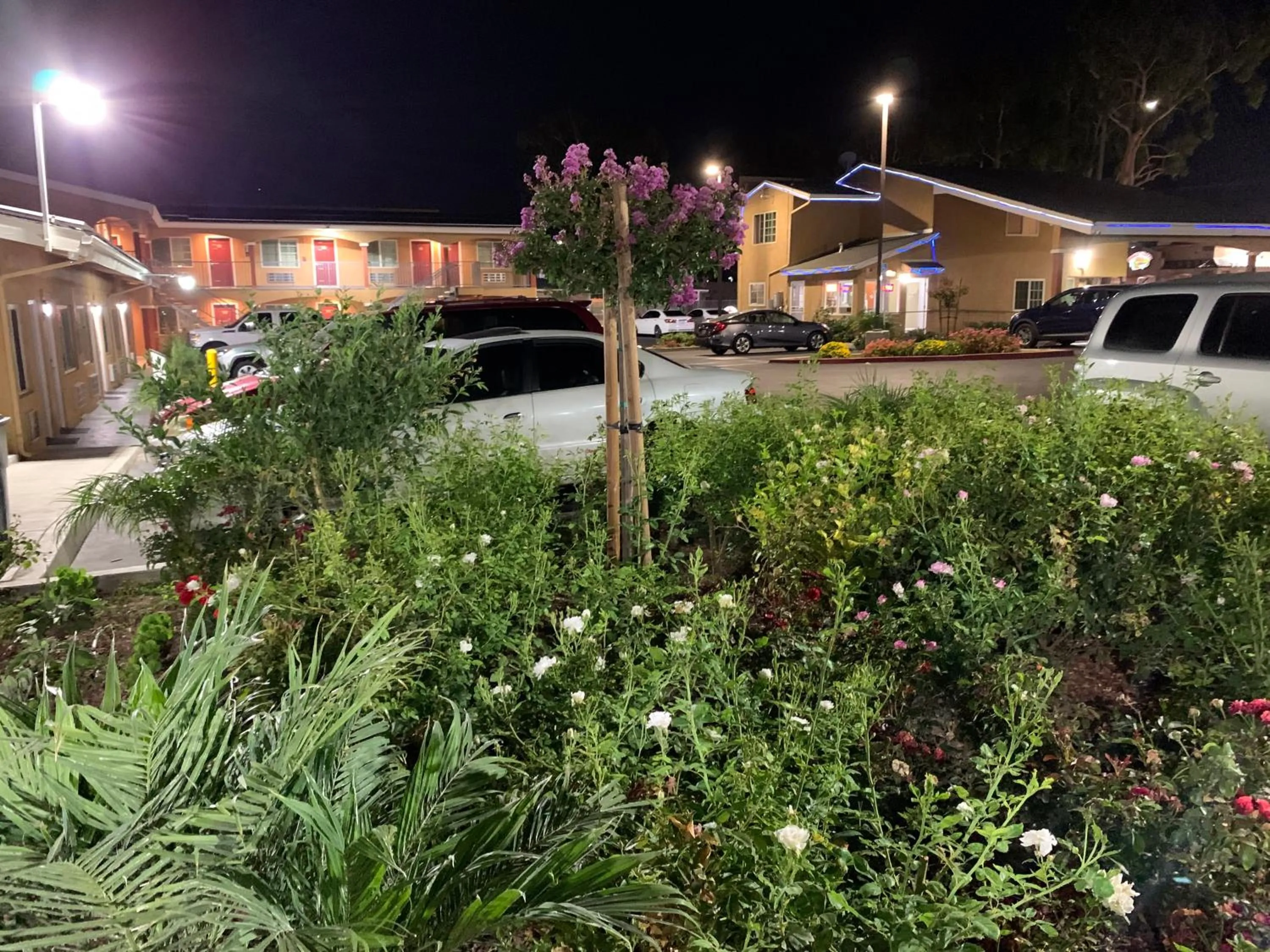 Property building in Desert Inn Motel