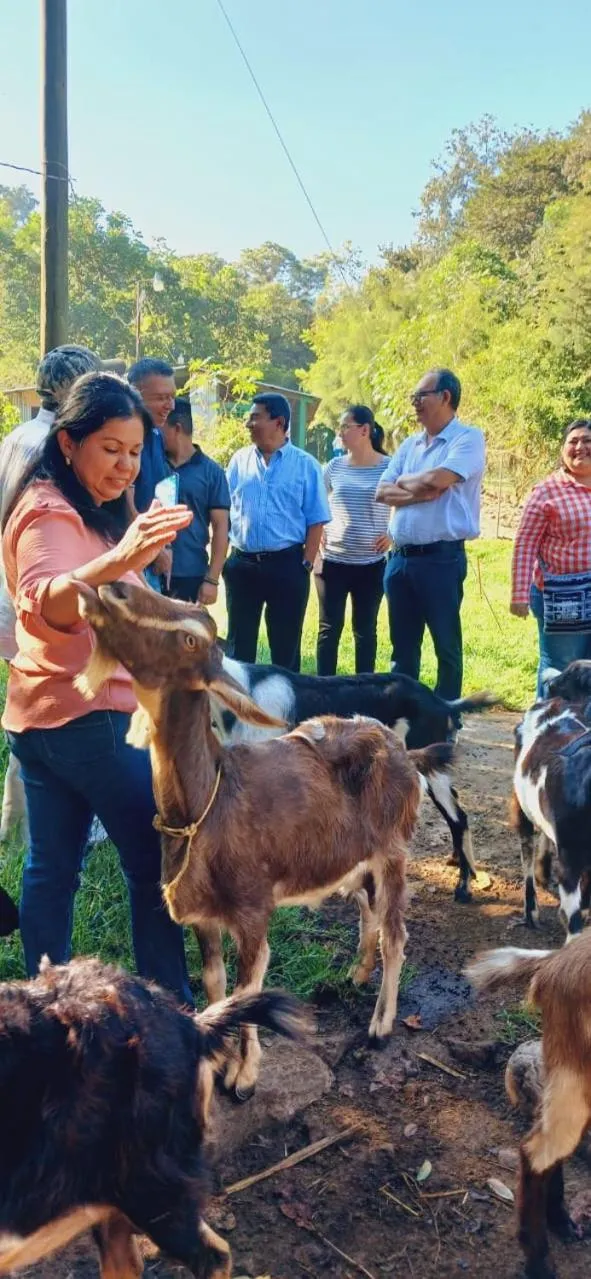Hotel de Campo Villa de Ada