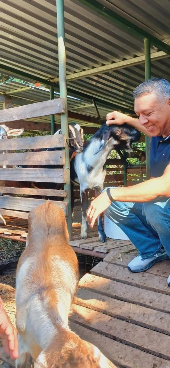 Hotel de Campo Villa de Ada