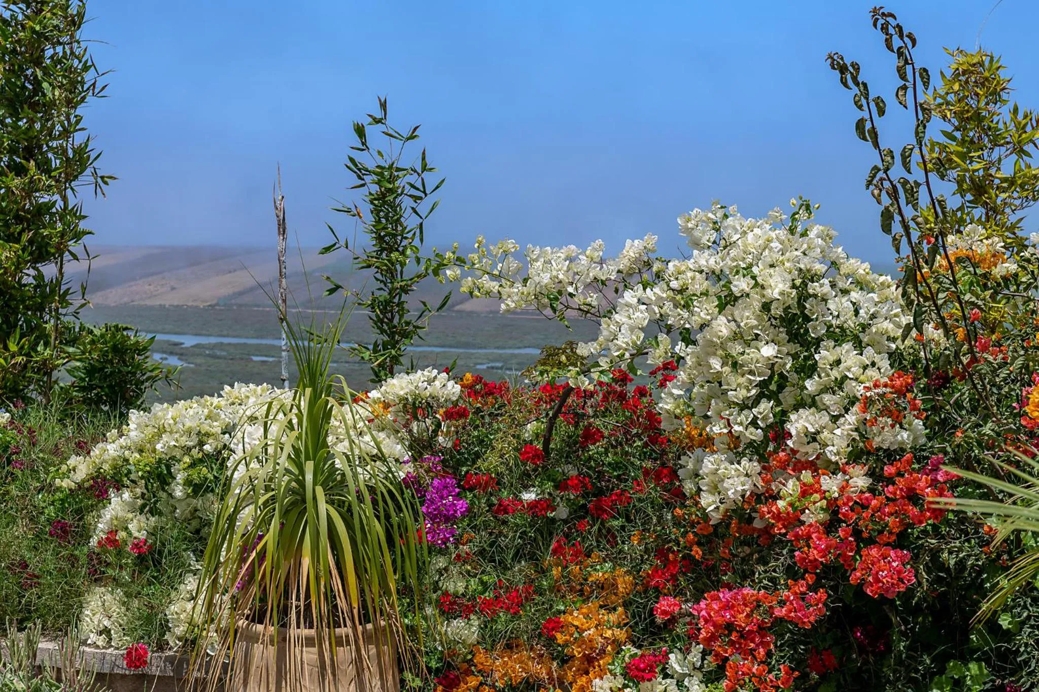 Natural landscape in La Villa Joubert