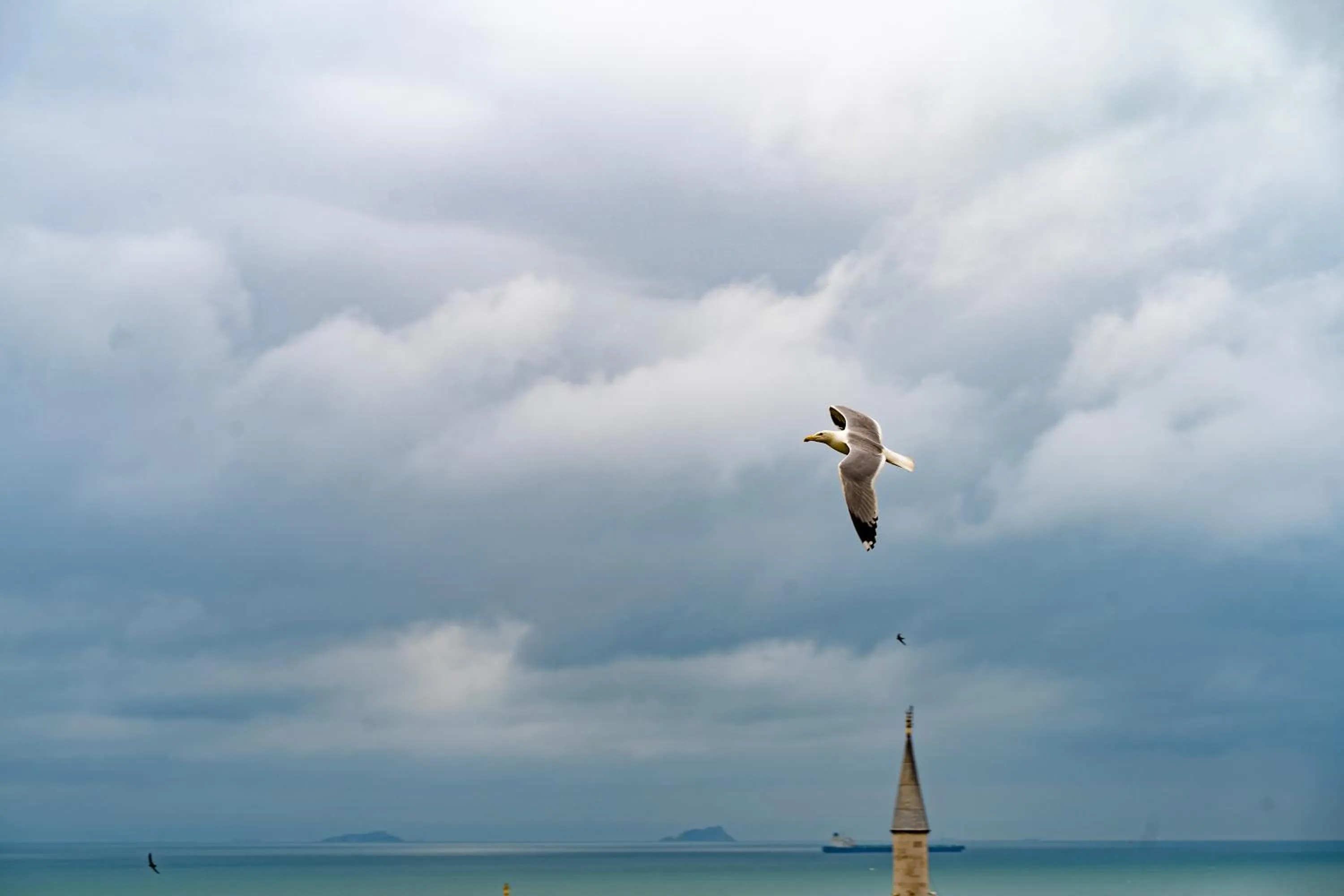 Day in Miss Royal Hotel & SPA